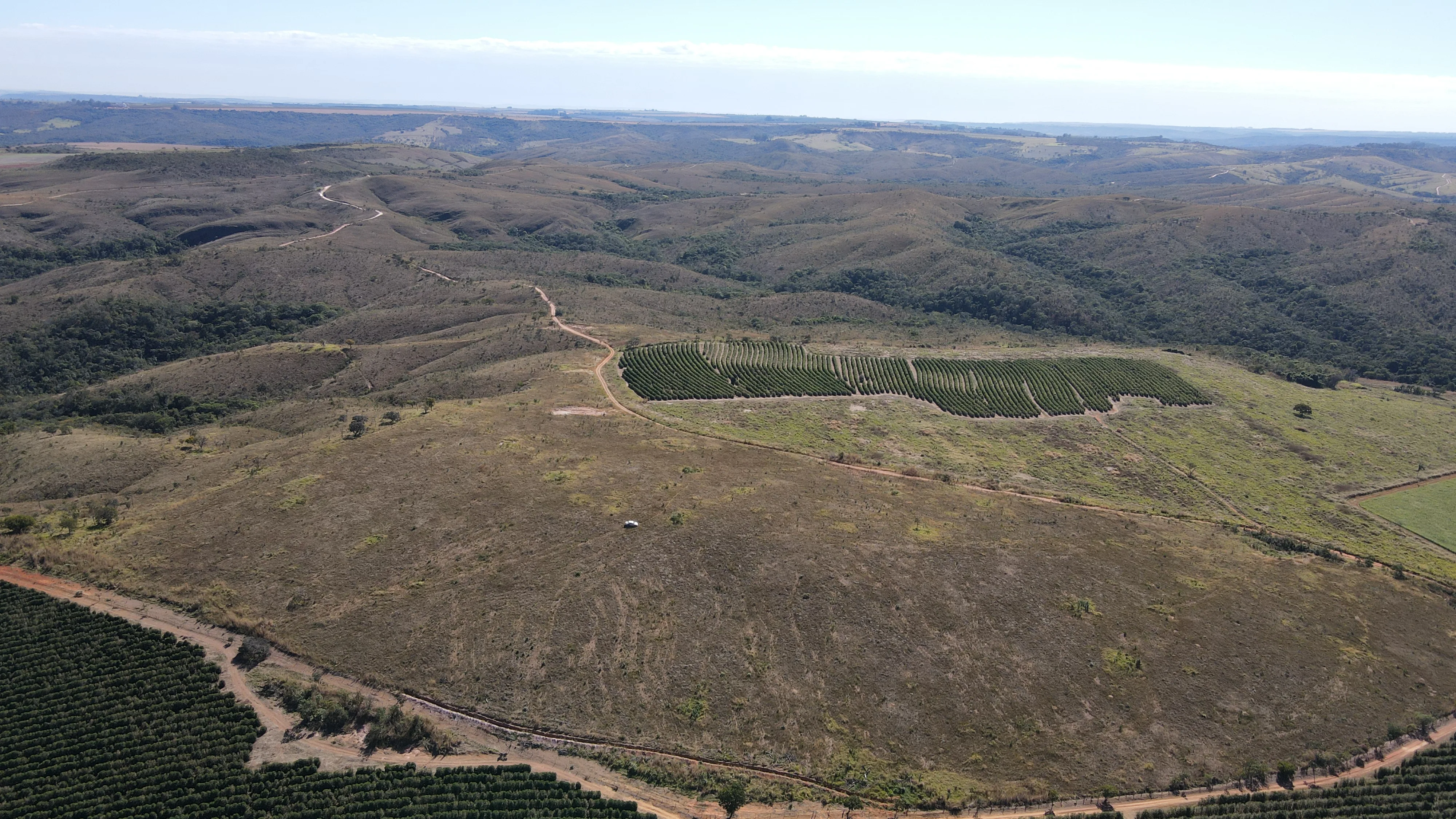 Fazenda Dupla Aptidão Na Região De Boa Vista