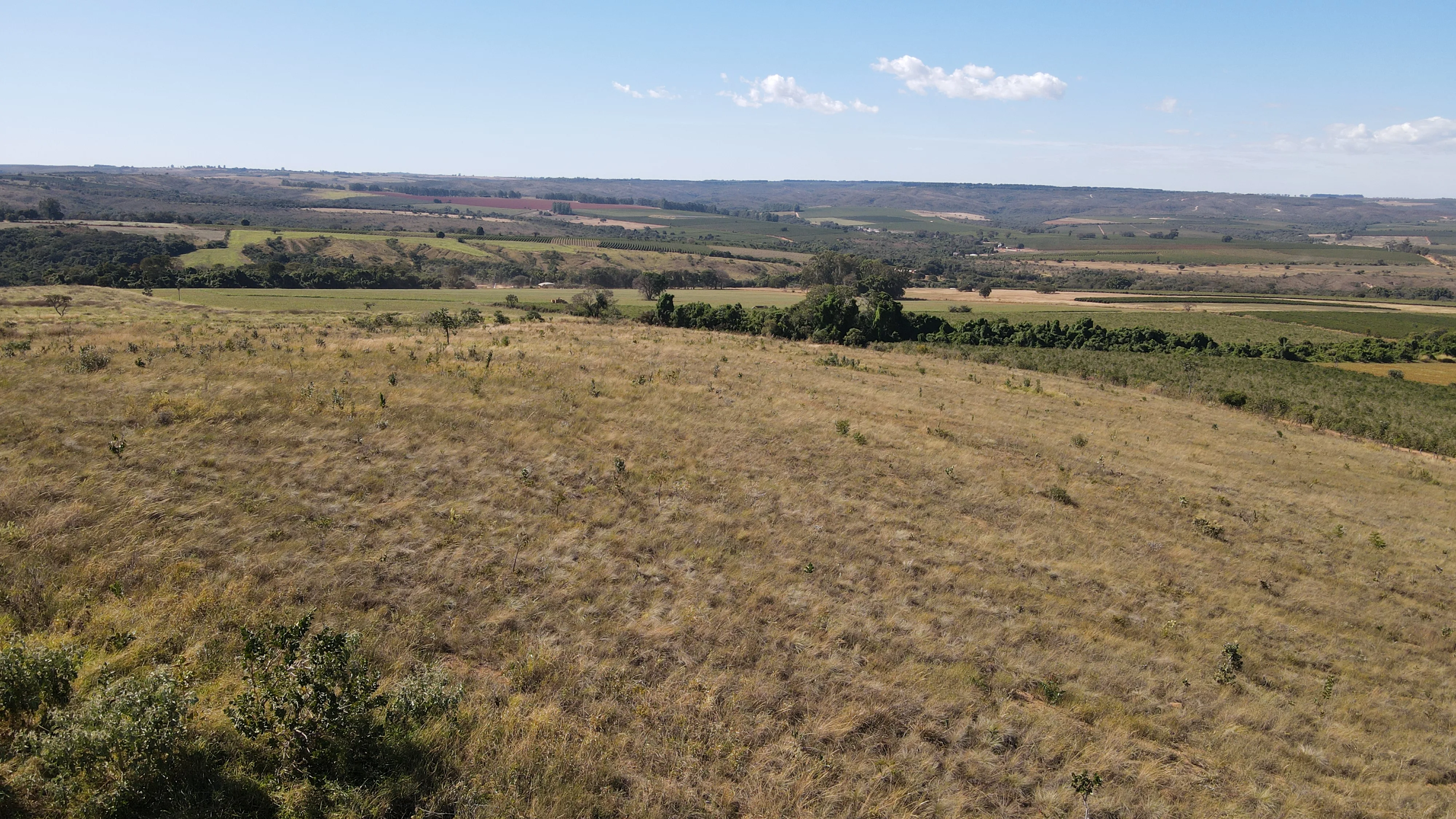 Fazenda Dupla Aptidão Na Região De Boa Vista