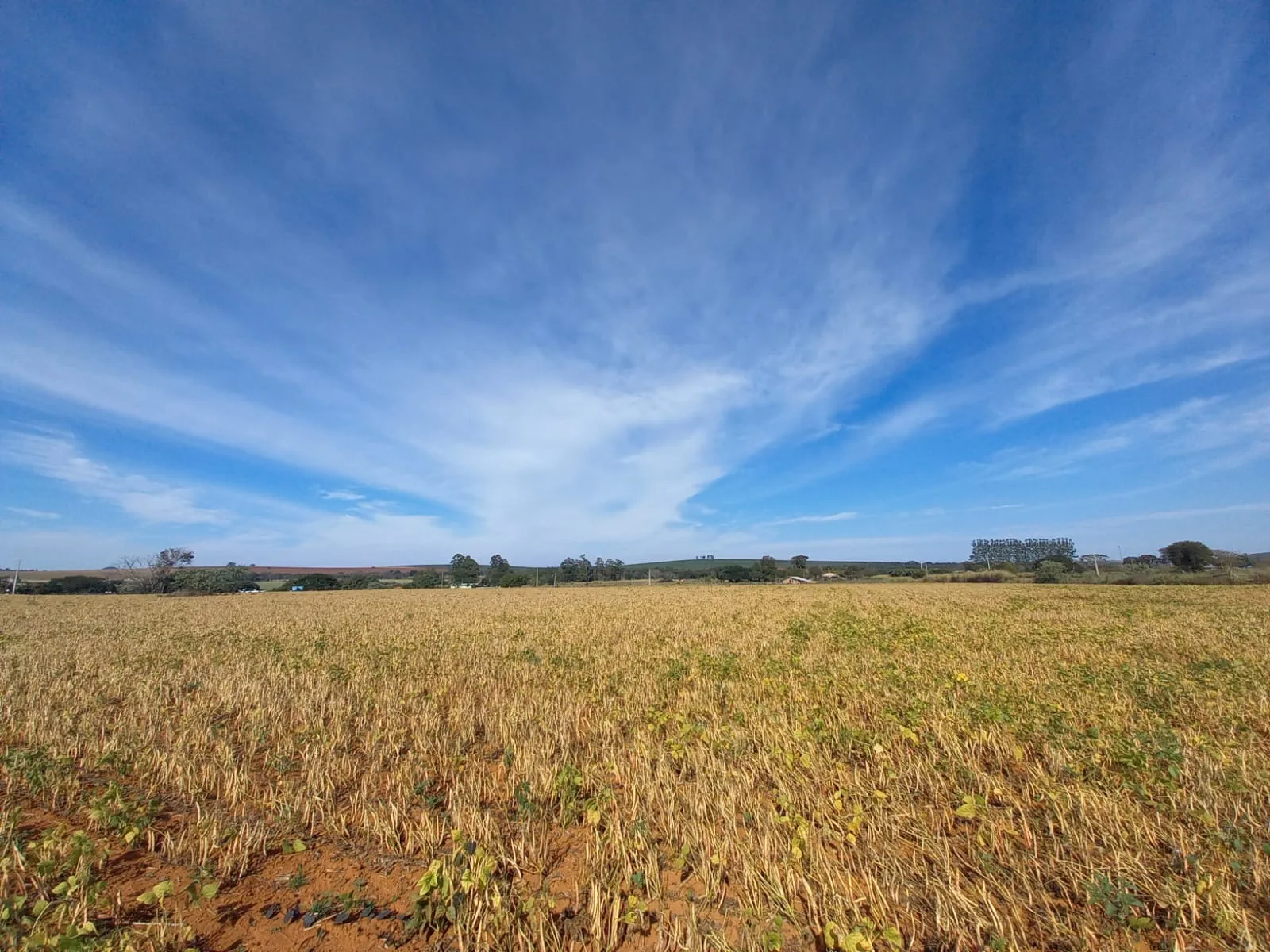 SITIO em TEJUCO, PATROCÍNIO - ST00065