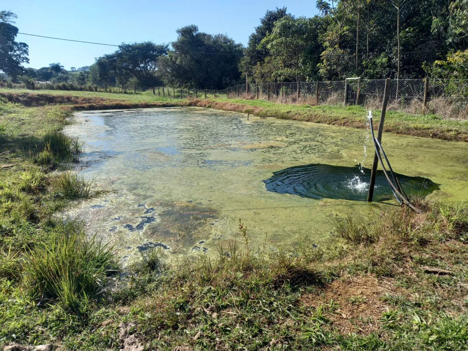 SITIO em TEJUCO, PATROCÍNIO - ST00065