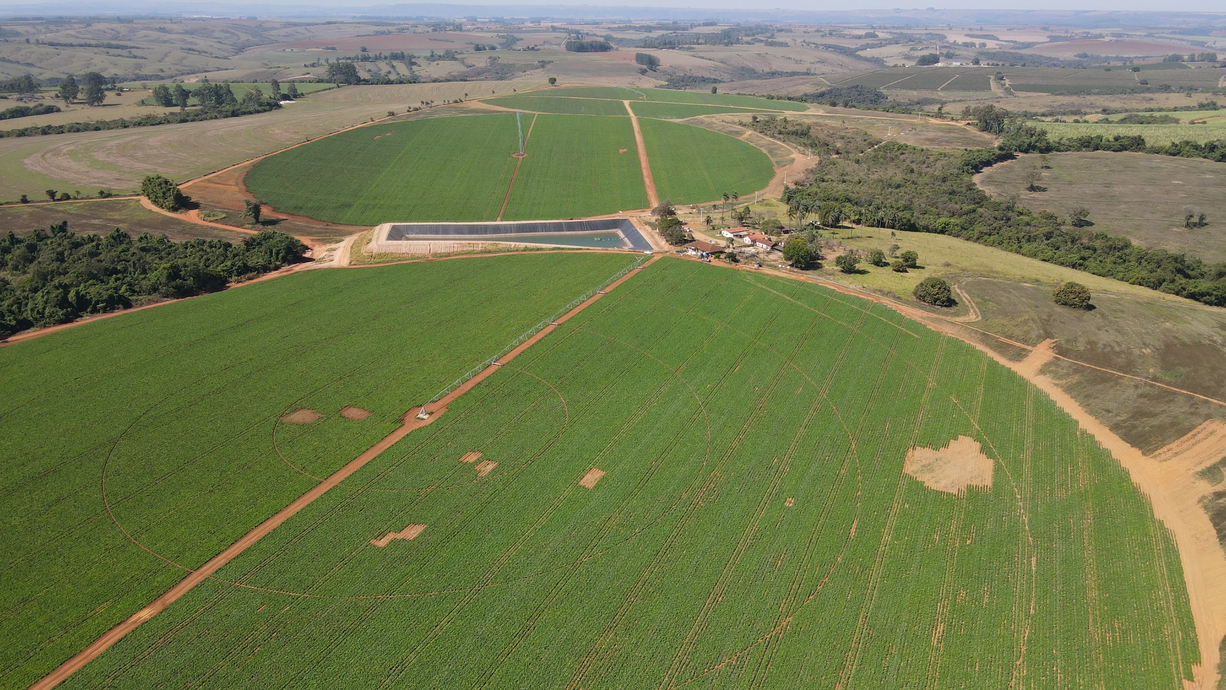 Fazenda Em Perdizes