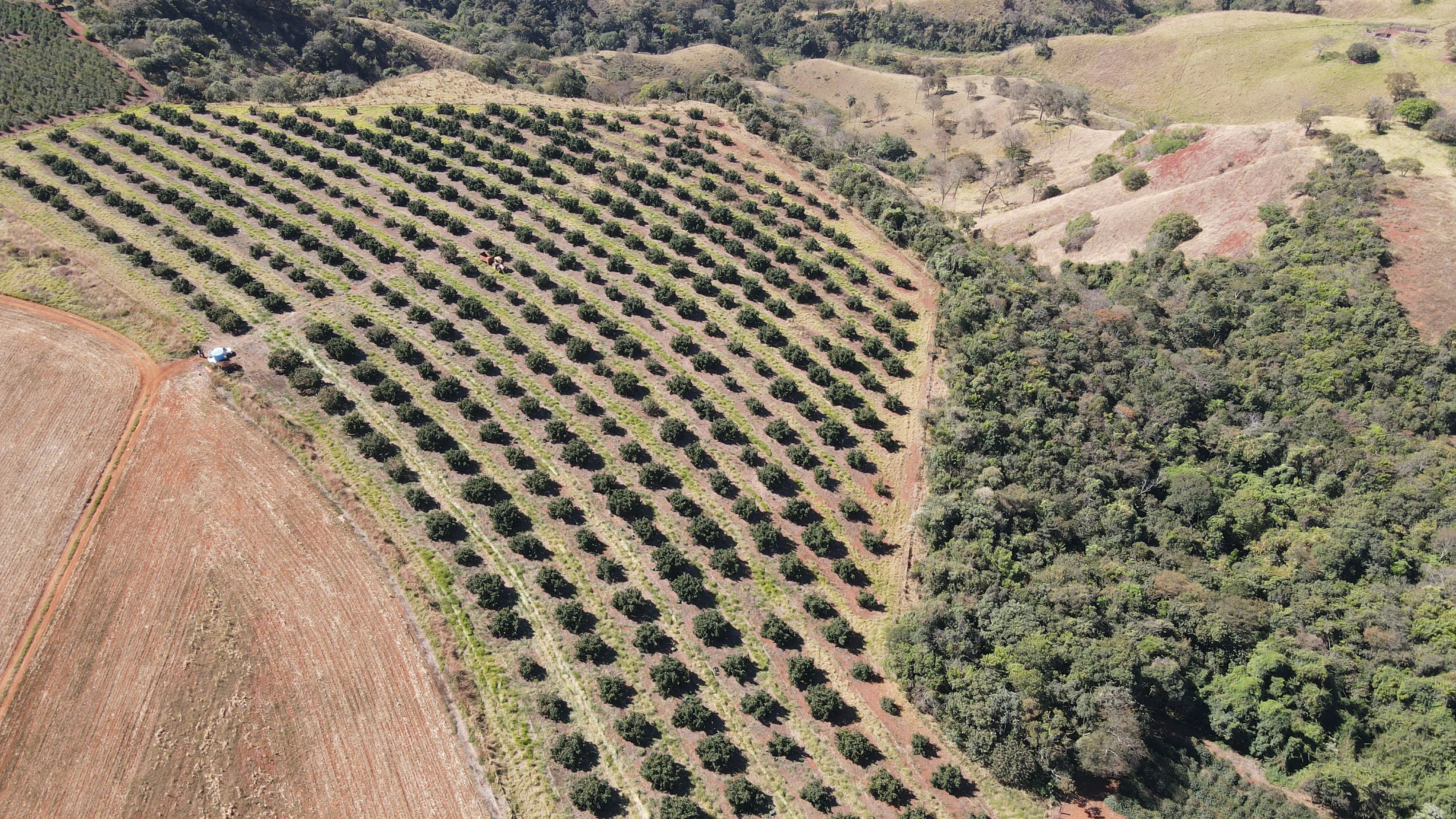 Sítio No Chapadão De Ferro