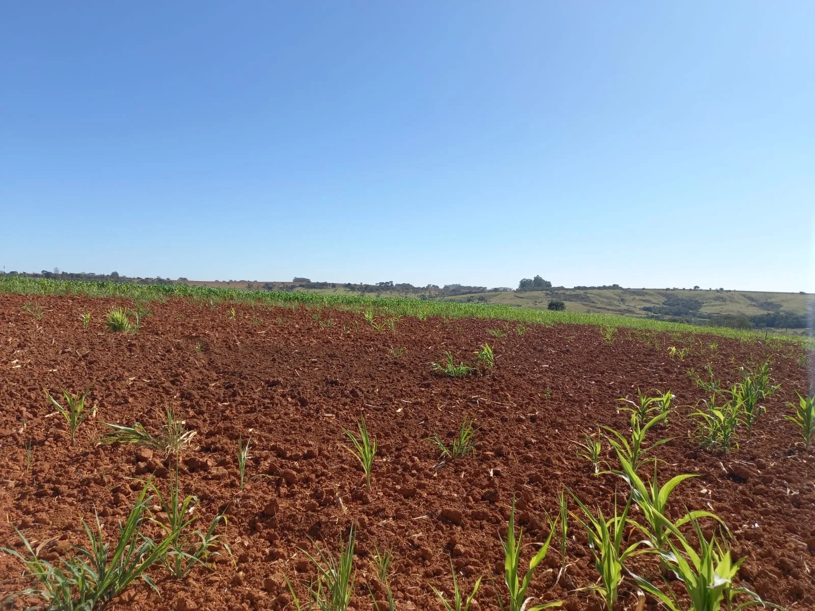 Fazenda Com Pivô Para Hf E Cereais