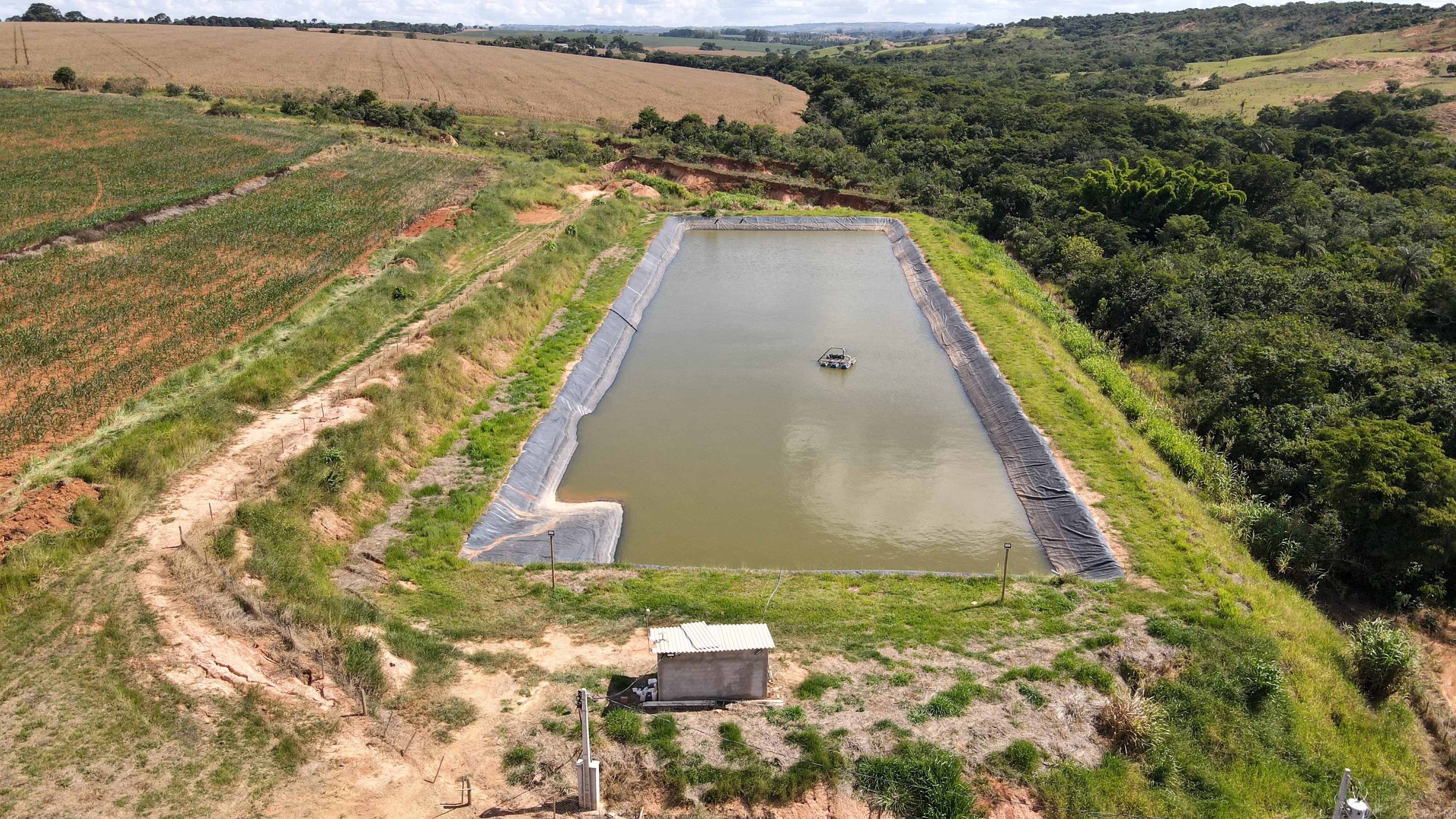 Fazenda Com Pivô Para Hf E Cereais