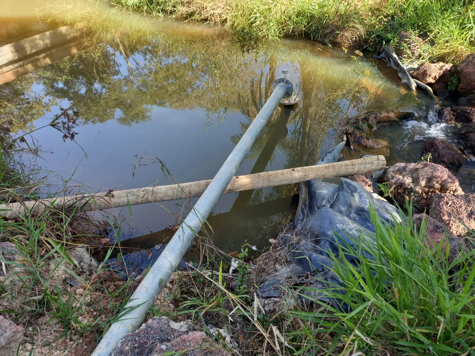 Fazenda Com Pivô Para Hf E Cereais
