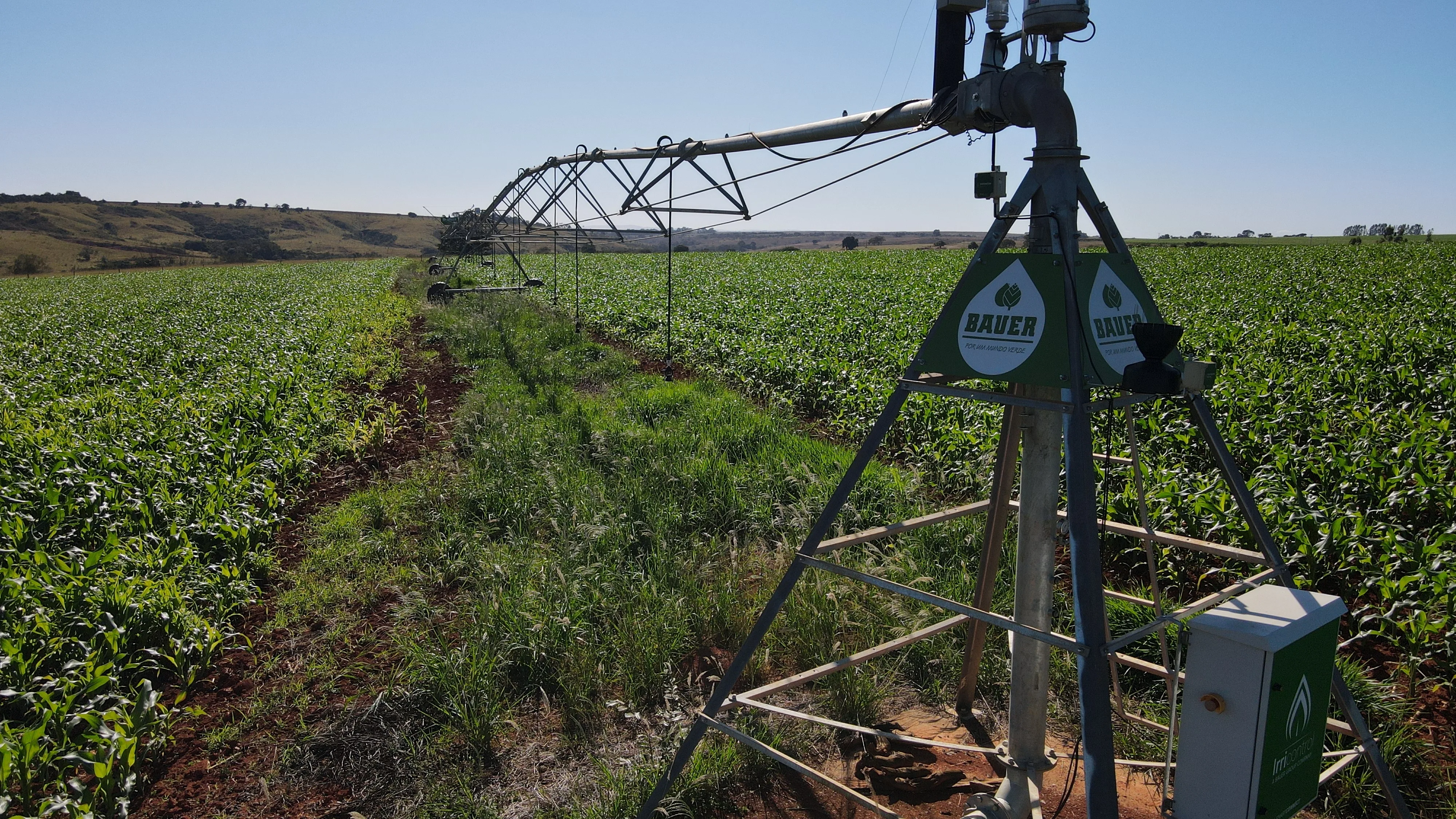 Fazenda Com Pivô Para Hf E Cereais