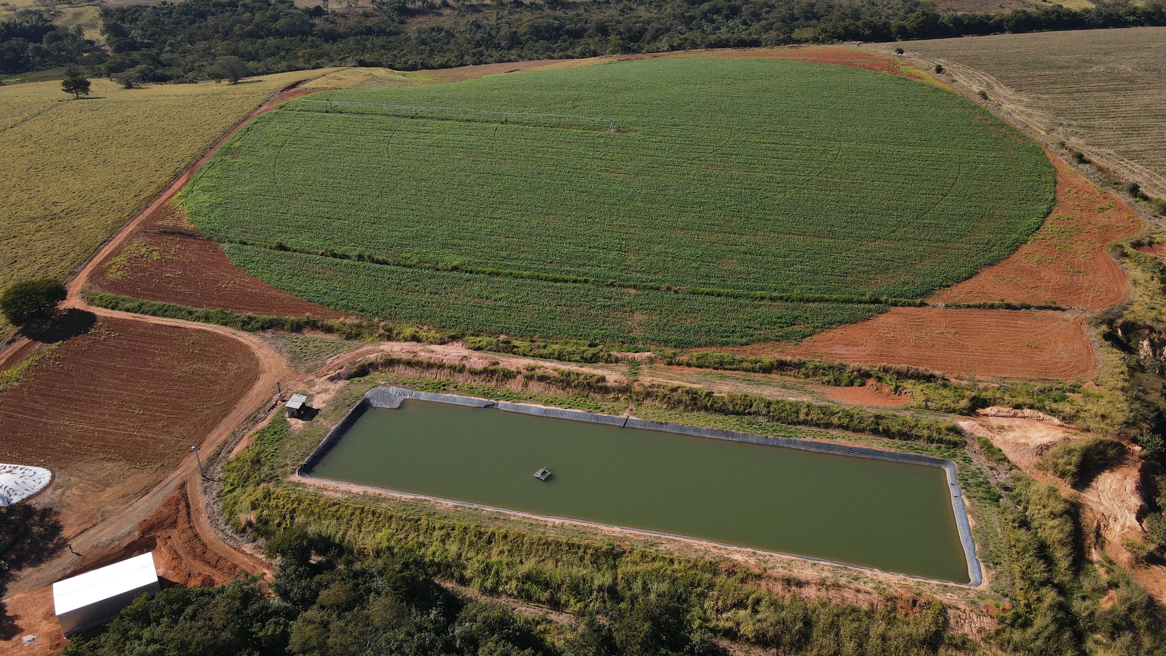 Fazenda Com Pivô Para Hf E Cereais