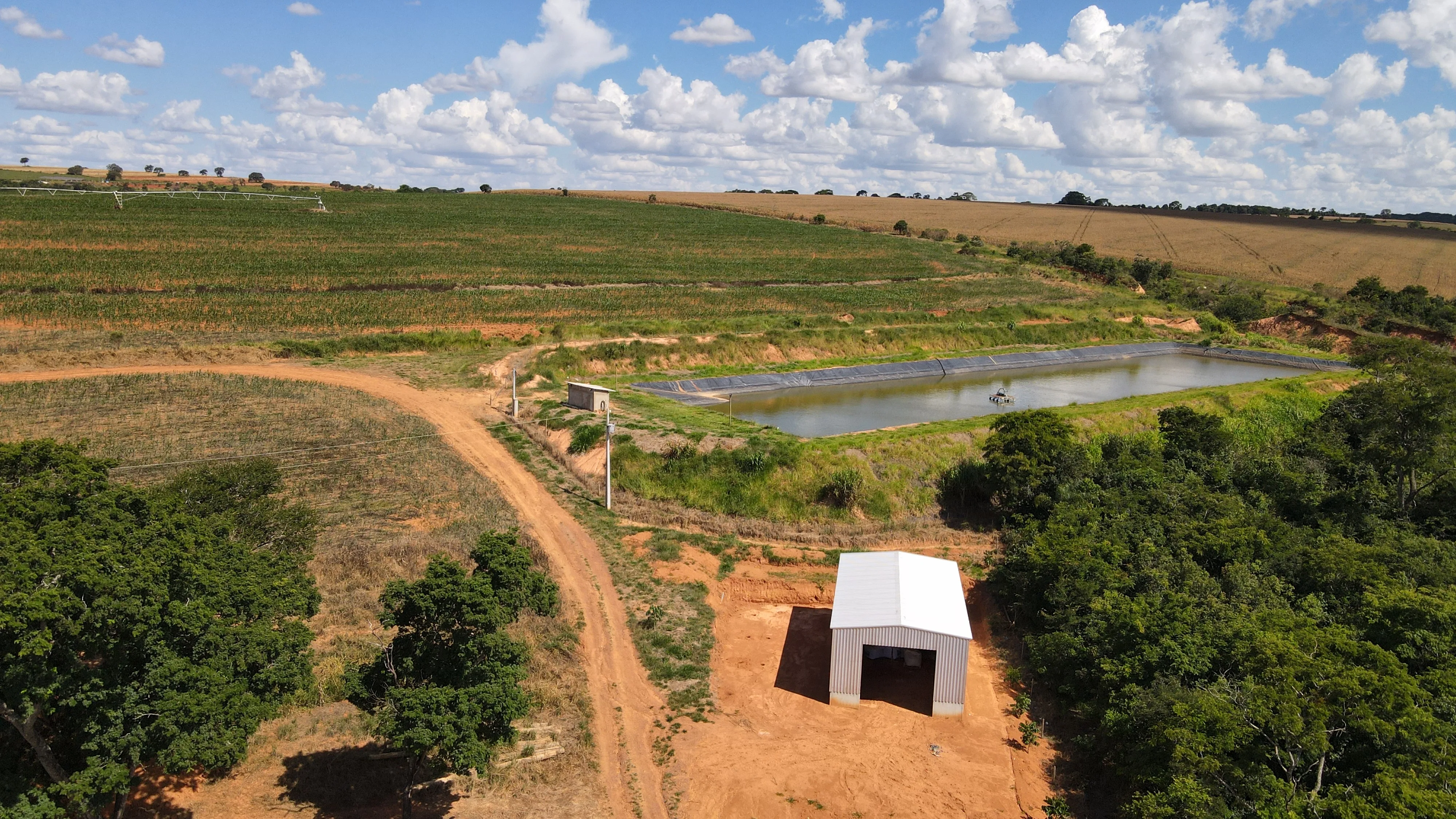 Fazenda Com Pivô Para Hf E Cereais