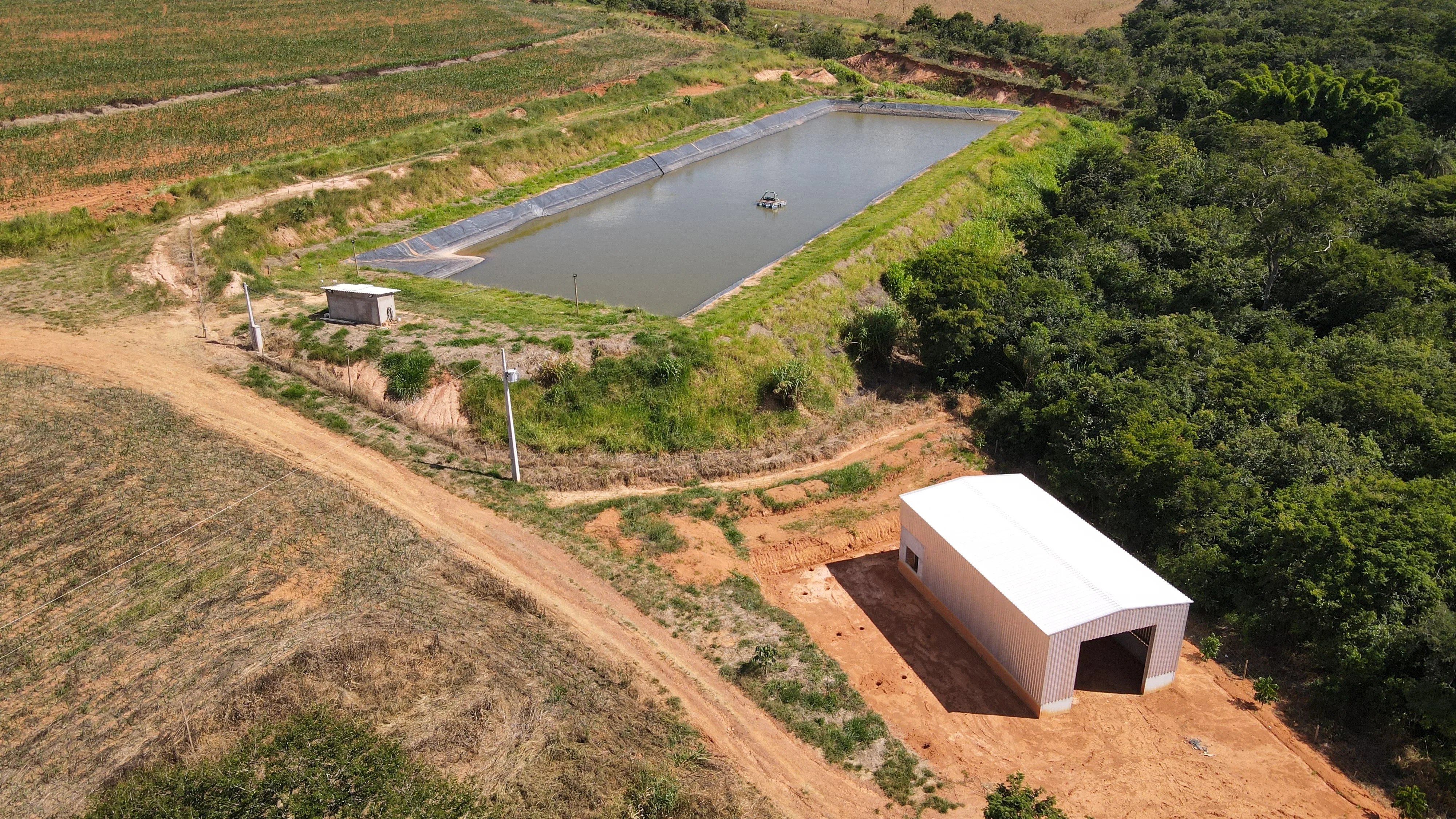 Fazenda Com Pivô Para Hf E Cereais