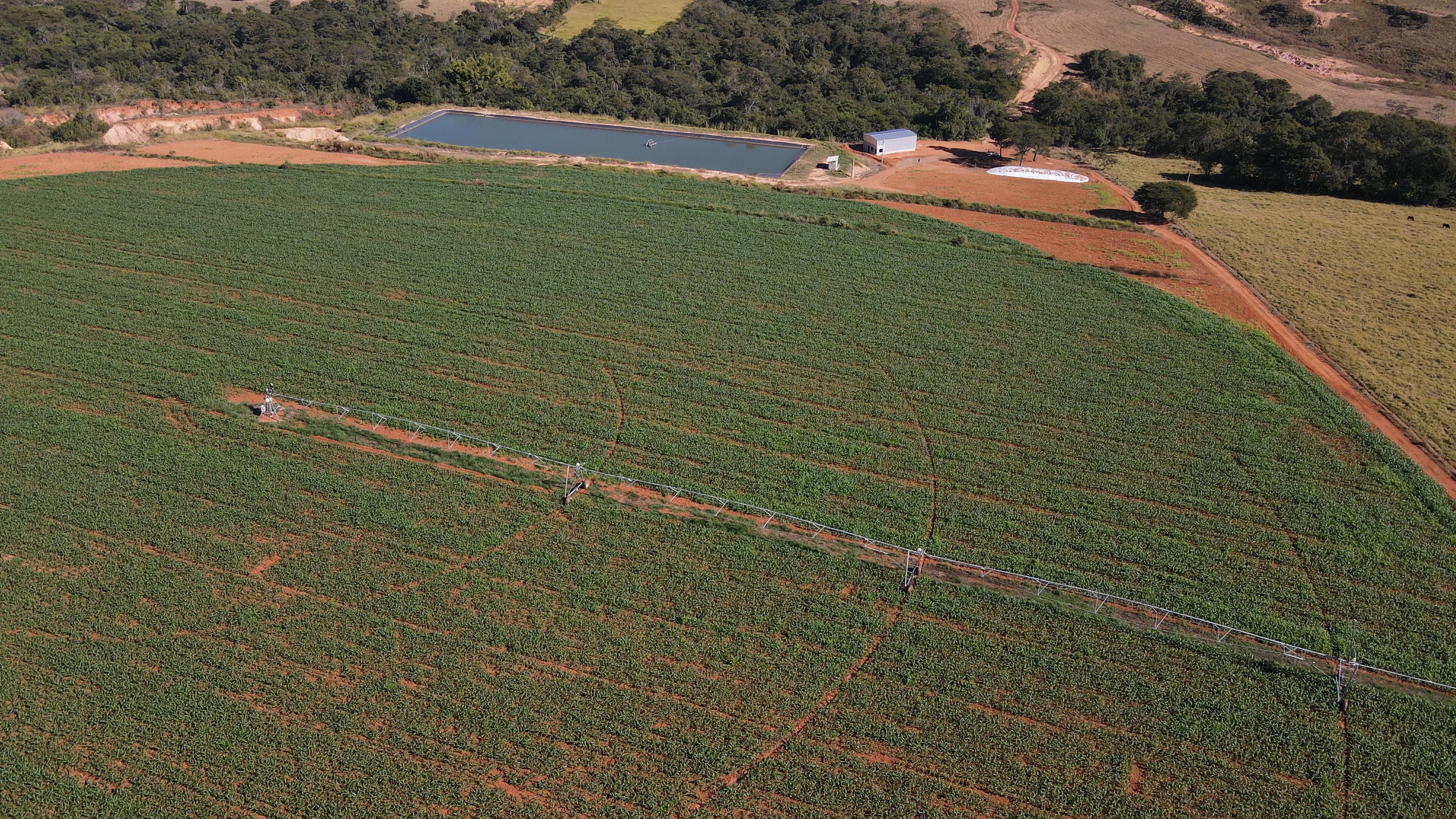 Fazenda Com Pivô Para Hf E Cereais