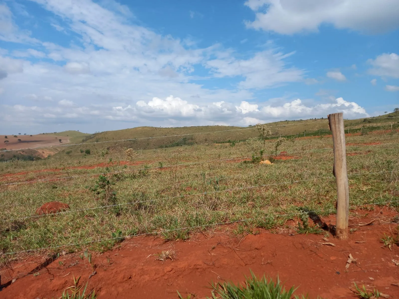 Fazenda Próxima À Rodovia Entre Rio Paranaíba E Serra Do Salitre