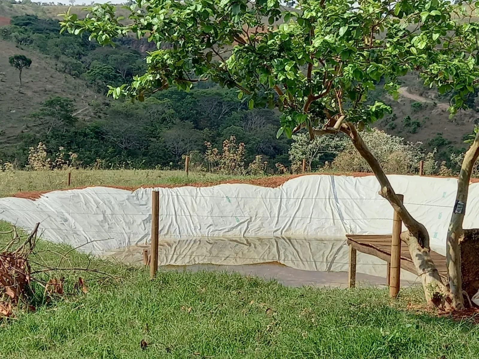 Fazenda Próxima À Rodovia Entre Rio Paranaíba E Serra Do Salitre