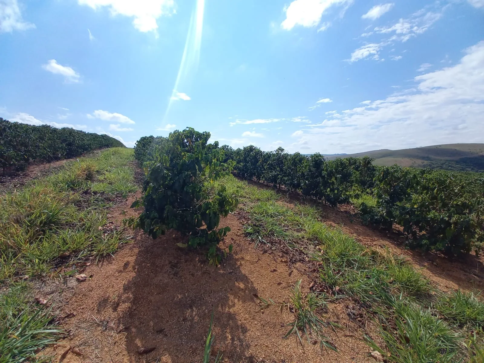 Fazenda Próxima À Rodovia Entre Rio Paranaíba E Serra Do Salitre
