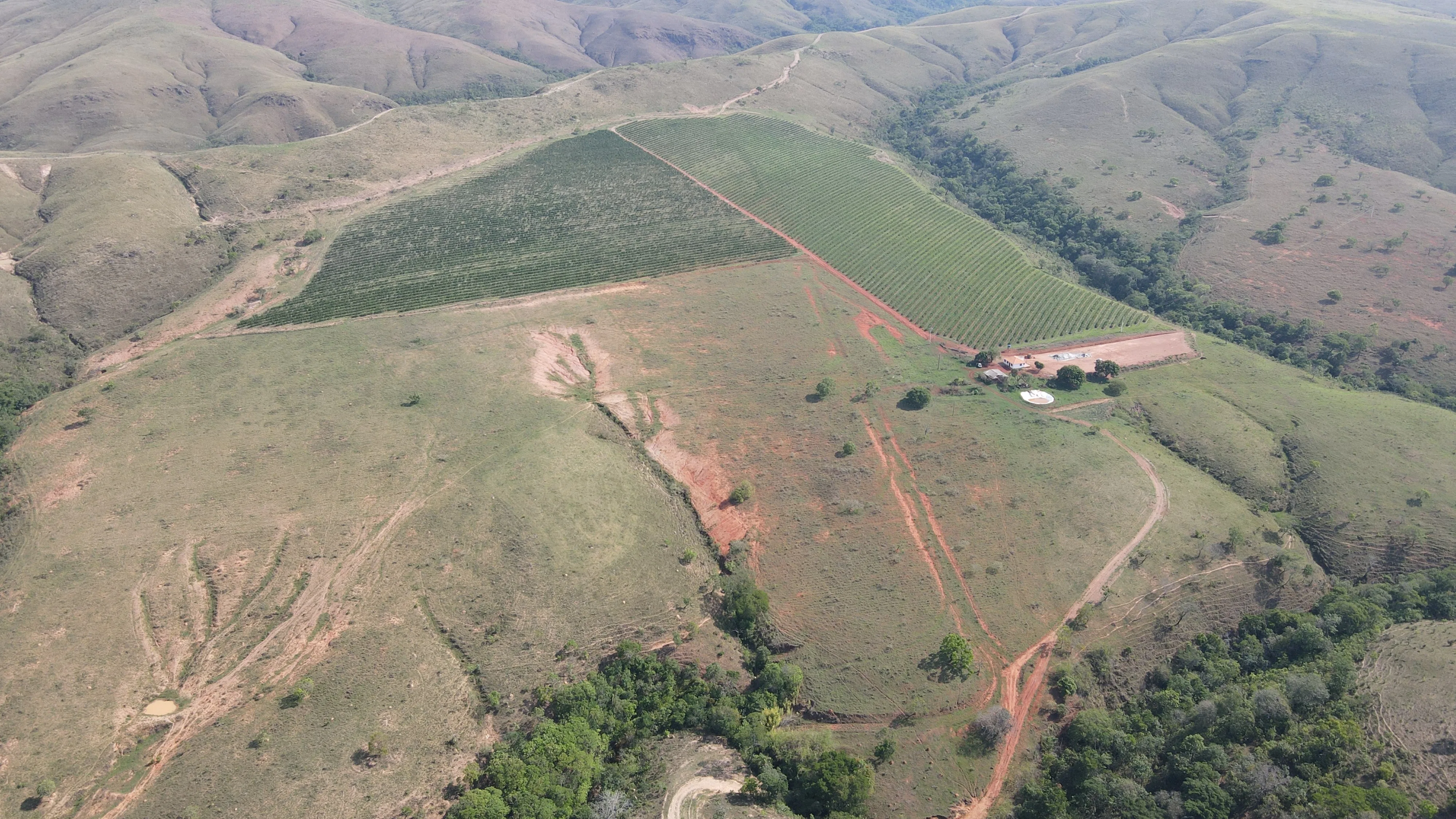 Fazenda Próxima À Rodovia Entre Rio Paranaíba E Serra Do Salitre