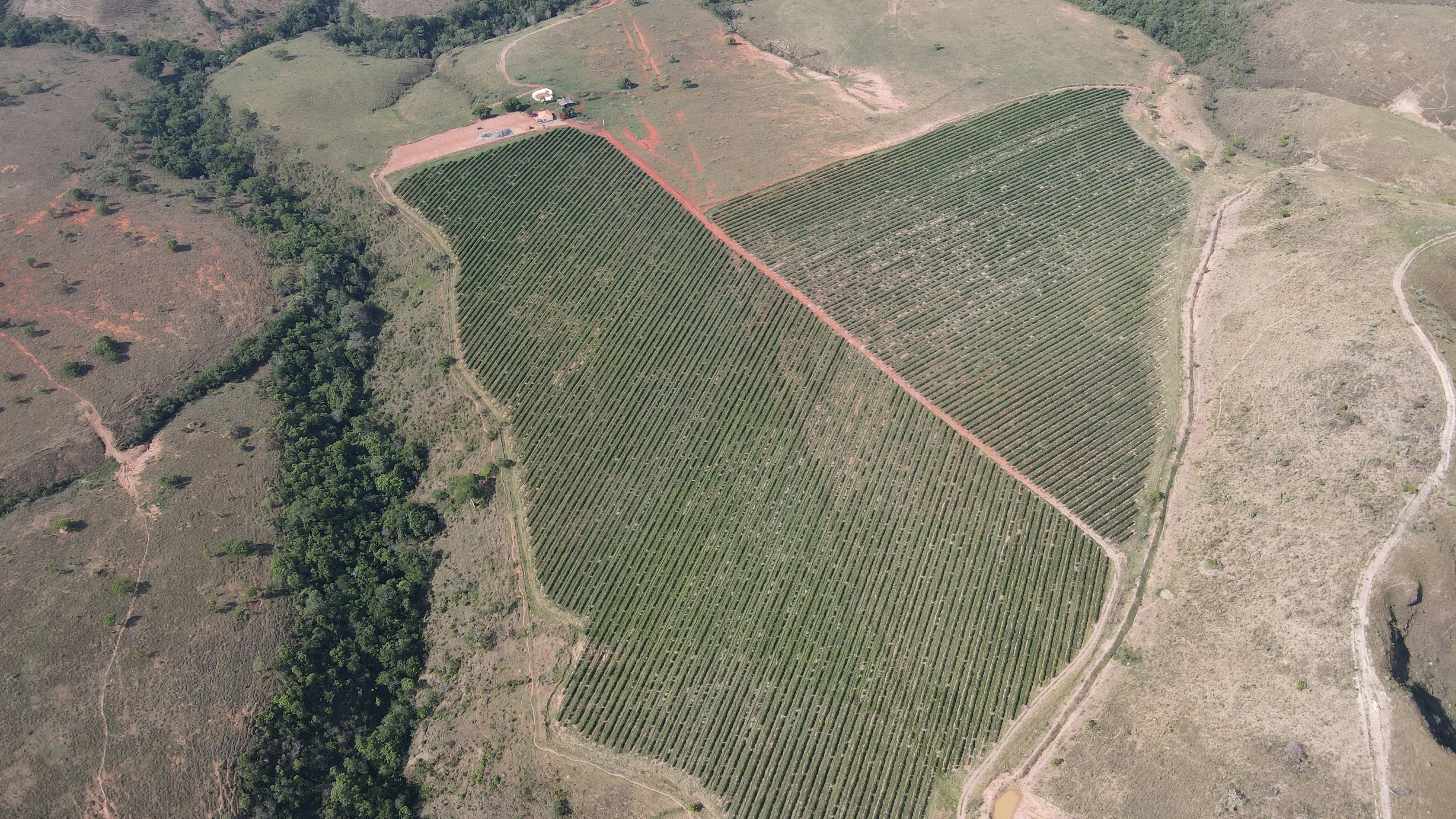 Fazenda Próxima À Rodovia Entre Rio Paranaíba E Serra Do Salitre