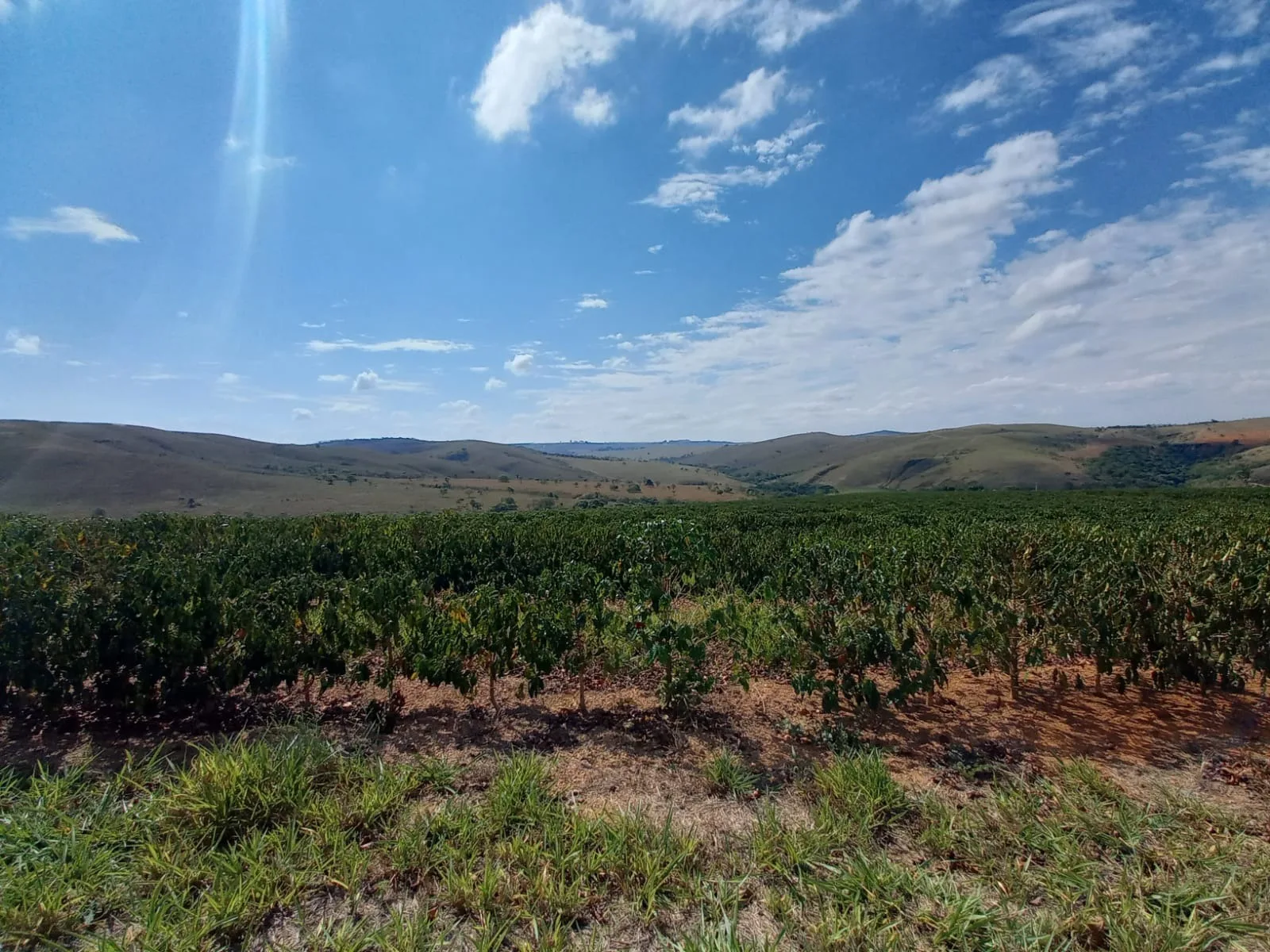 Fazenda Próxima À Rodovia Entre Rio Paranaíba E Serra Do Salitre