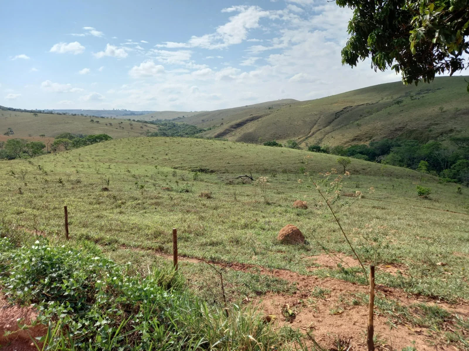 Fazenda Próxima À Rodovia Entre Rio Paranaíba E Serra Do Salitre
