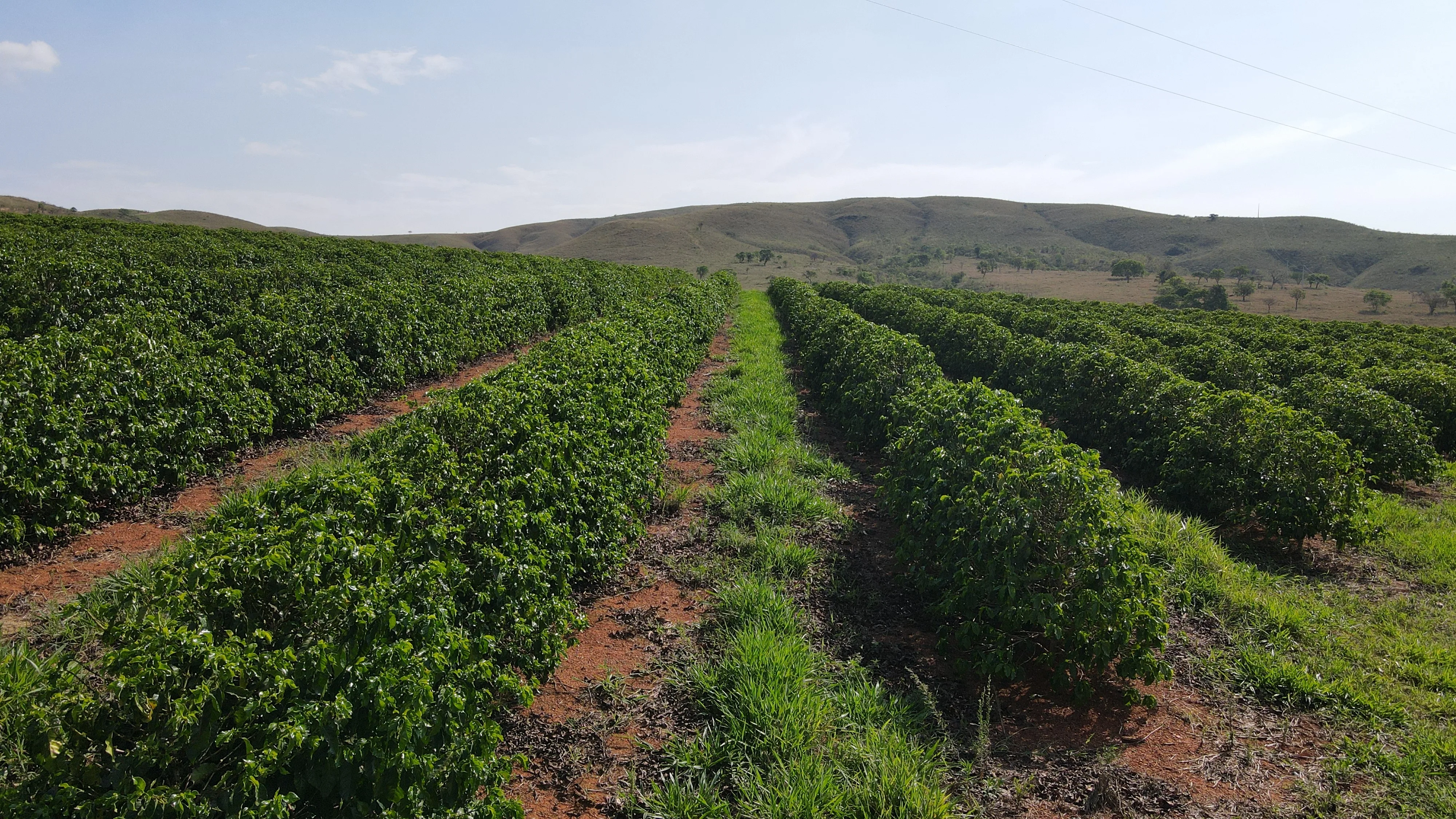 Fazenda Próxima À Rodovia Entre Rio Paranaíba E Serra Do Salitre