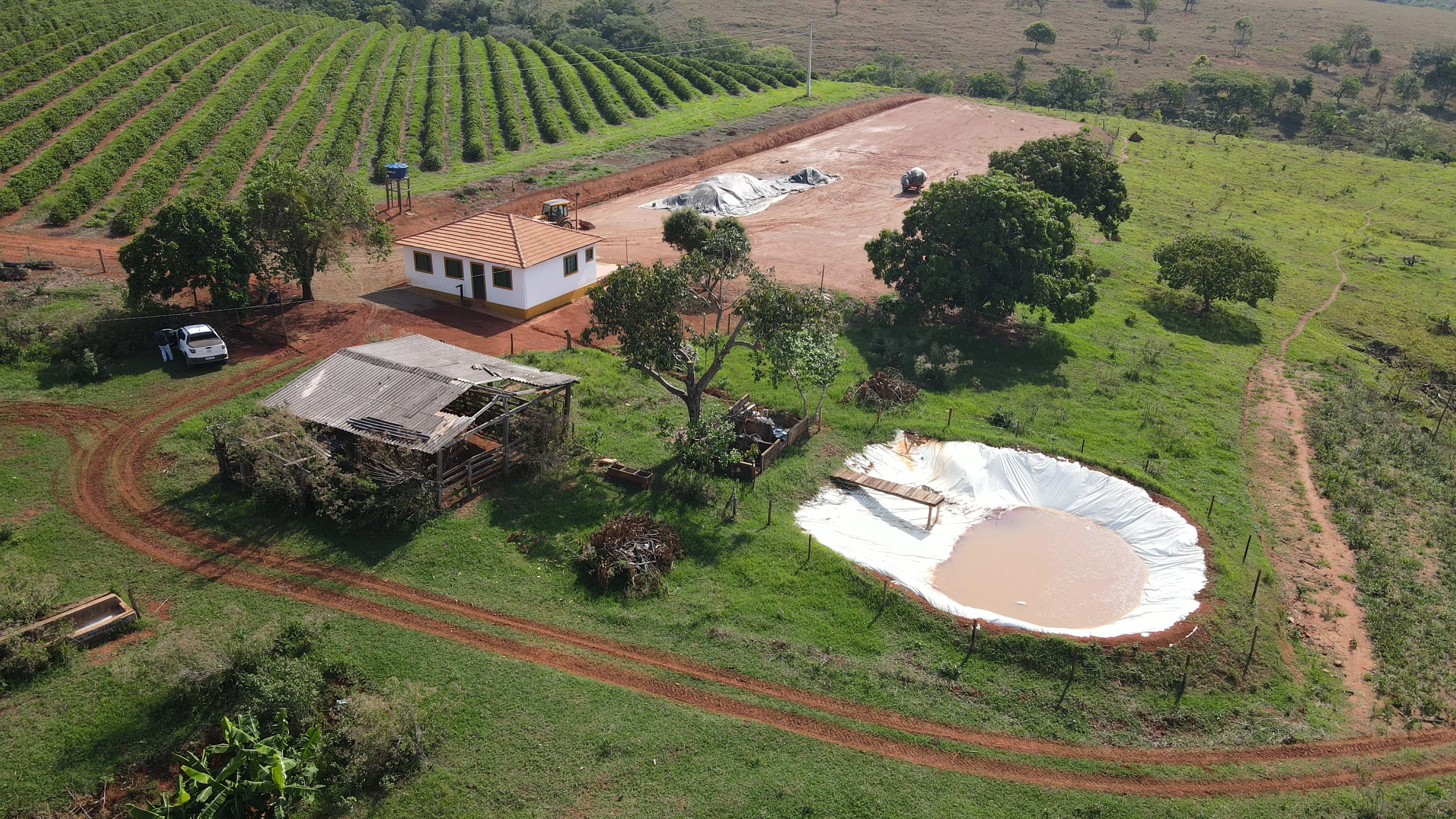 Fazenda Próxima À Rodovia Entre Rio Paranaíba E Serra Do Salitre