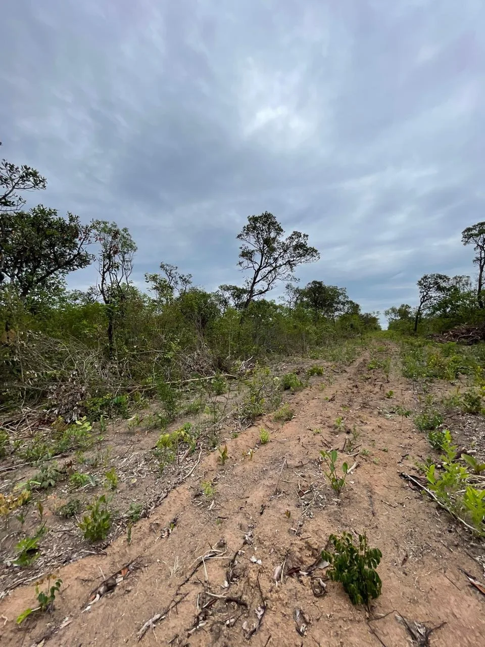 Excelente Fazenda Em Chapada Gaúcha
