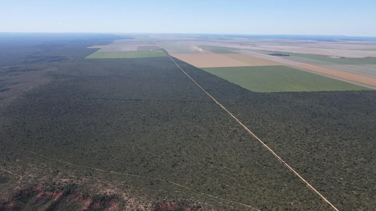 Excelente Fazenda Em Chapada Gaúcha