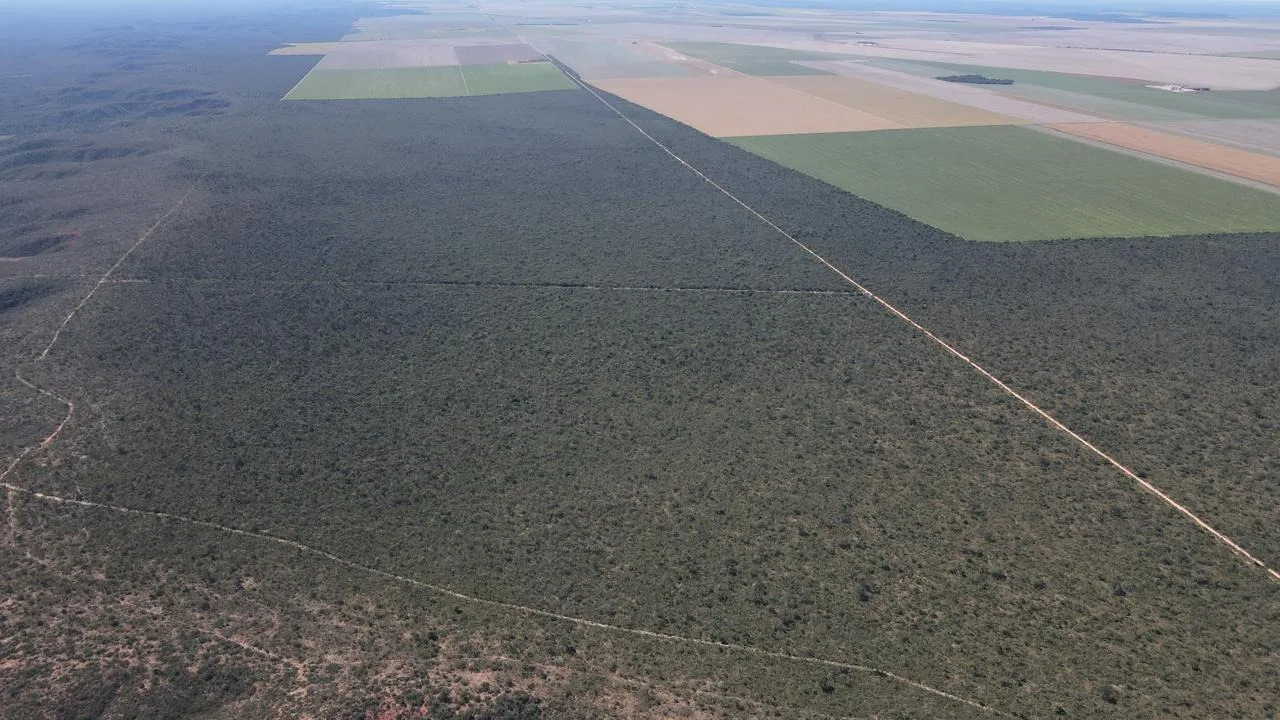 Excelente Fazenda Em Chapada Gaúcha