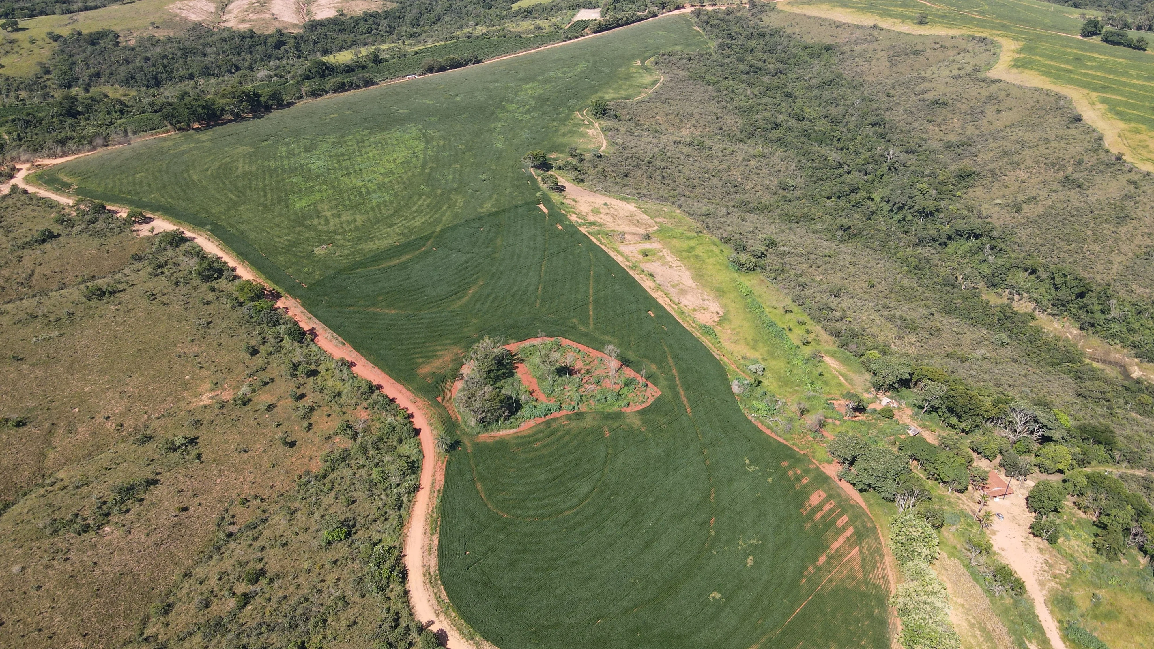 Excelente fazenda na região de Santa Luzia dos Barros em Patrocínio- MG.