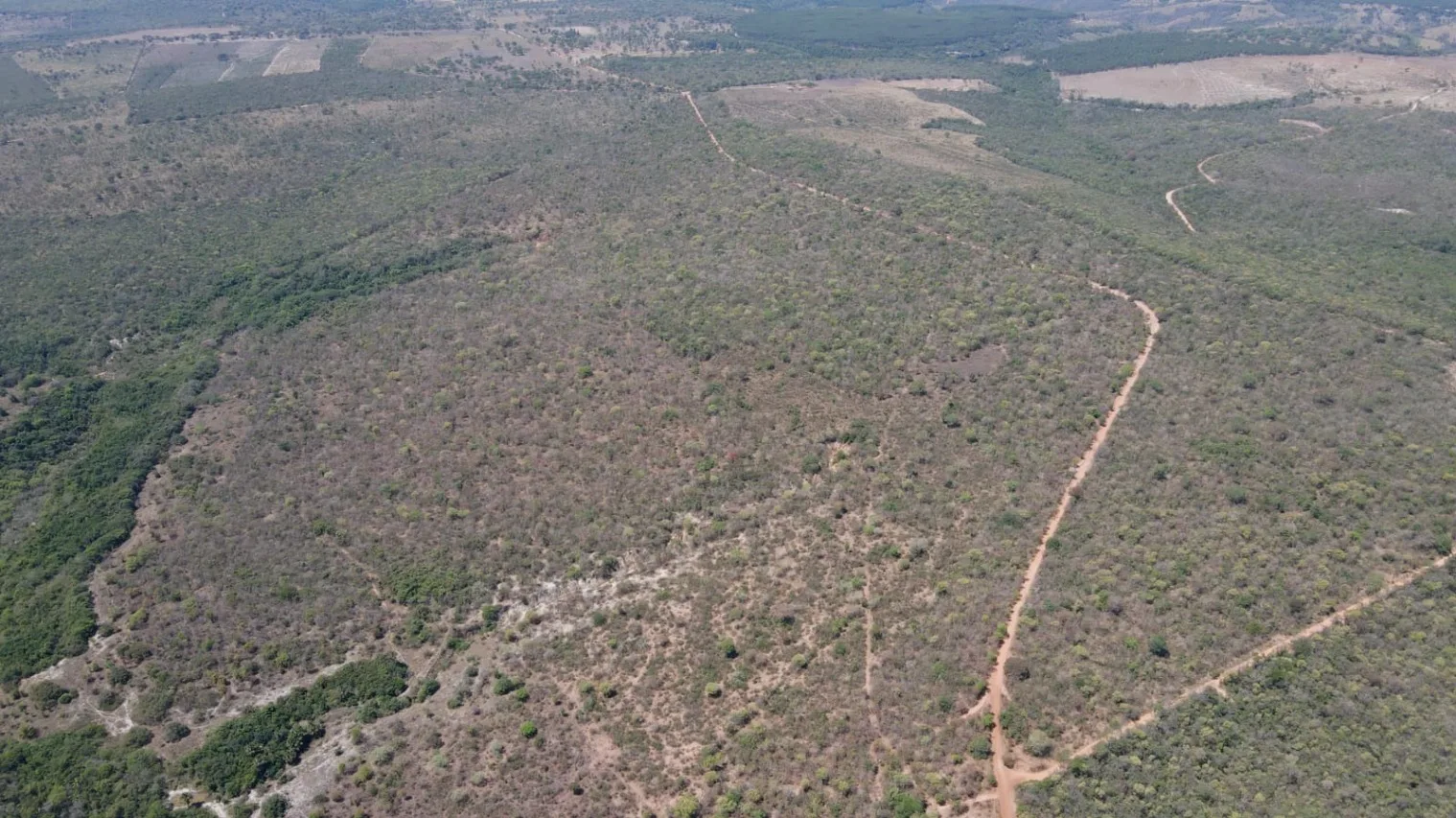Excelente Fazenda Agricultável Em Presidente Olegário/Mg