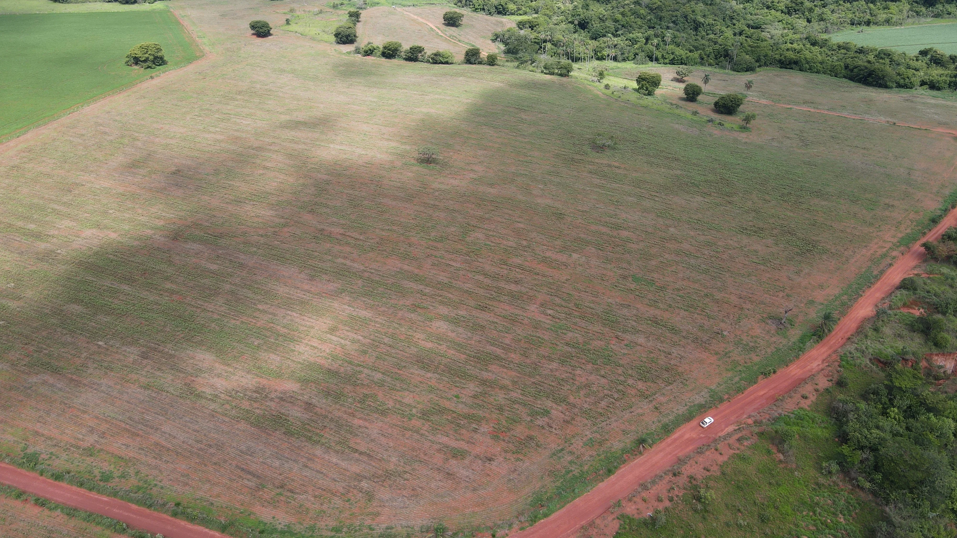 Fazenda Cultivada Na Zona Rural De Patrocínio/Mg