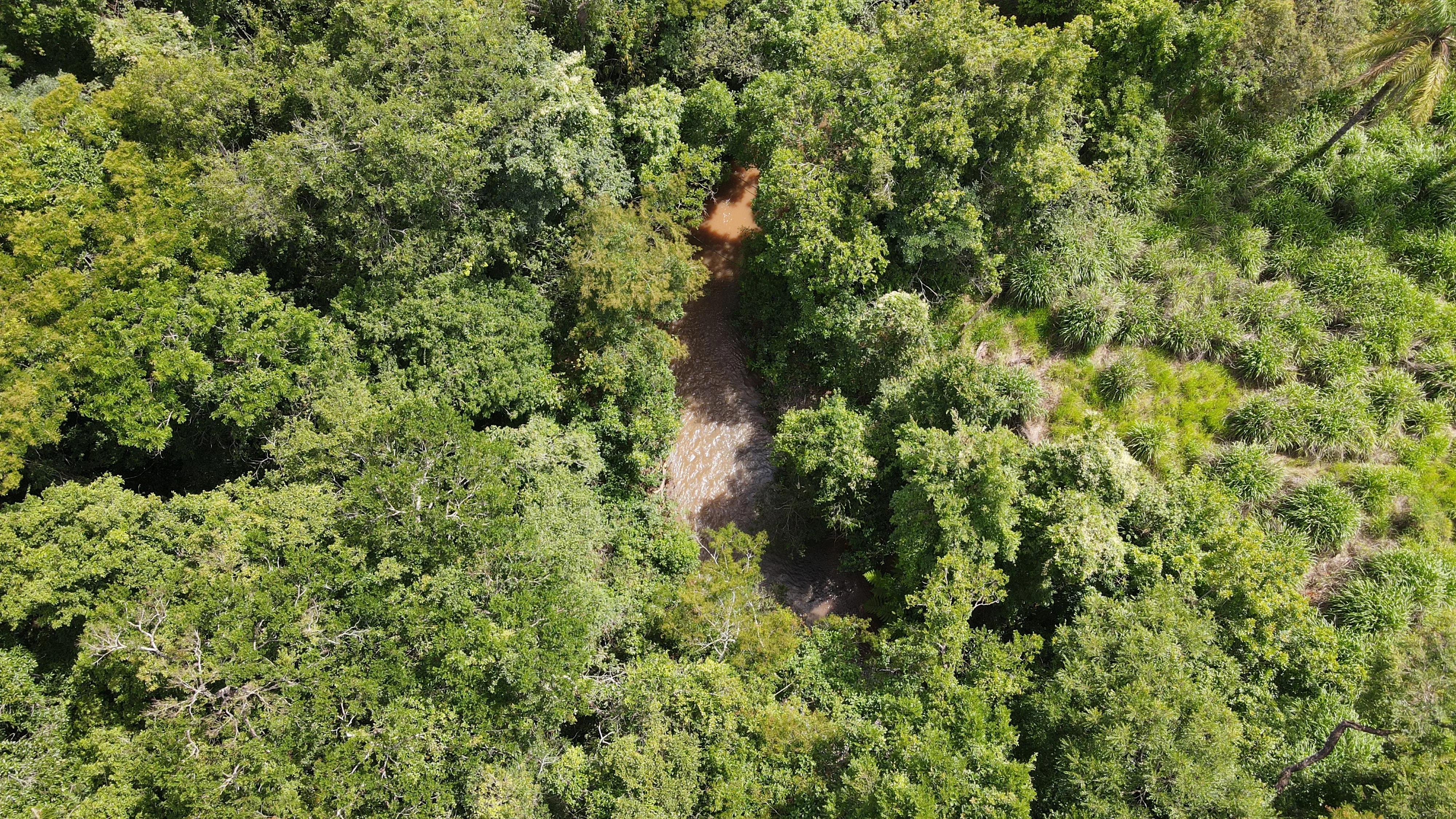 Fazenda Cultivada Na Zona Rural De Patrocínio/Mg