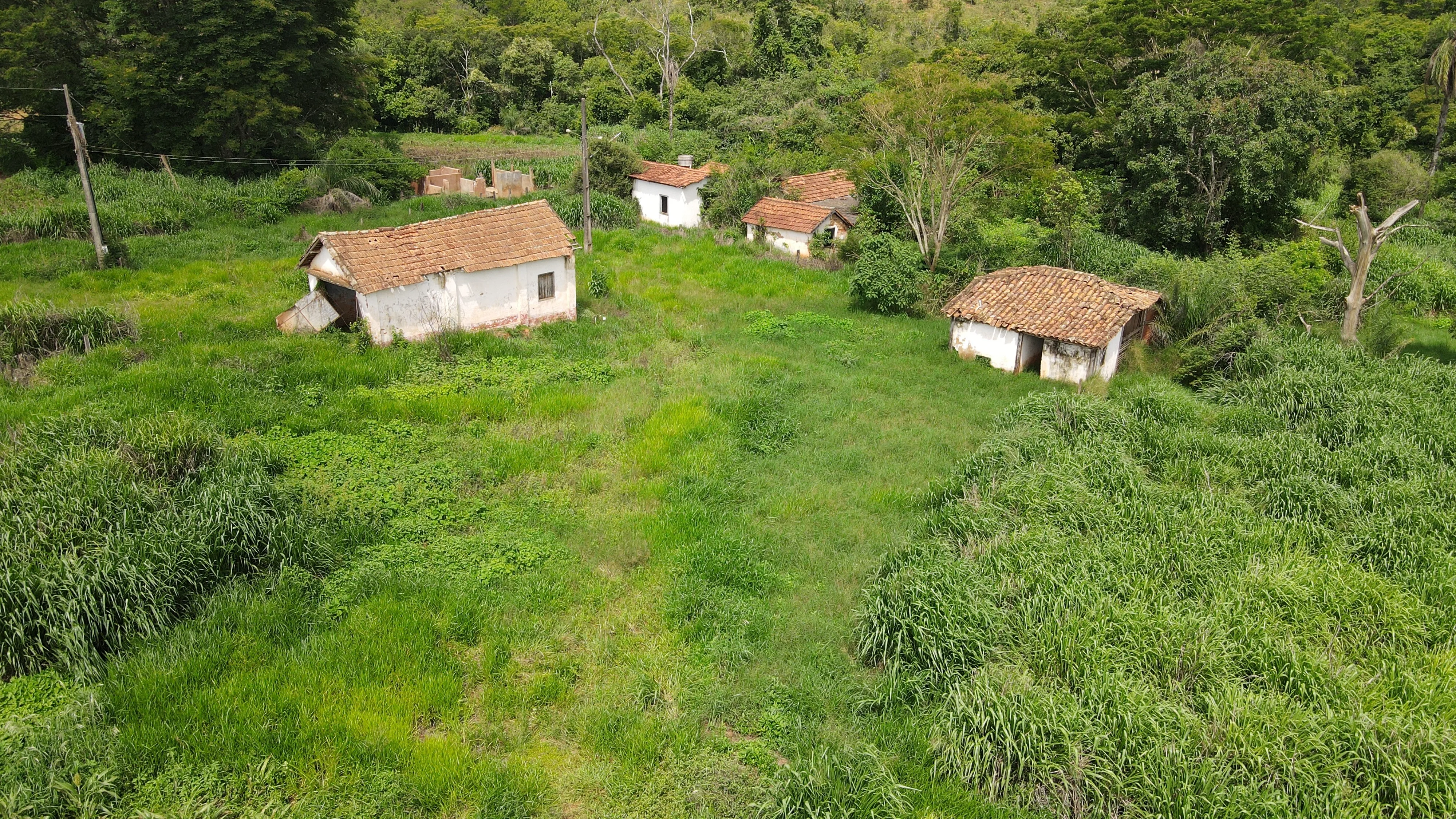 Fazenda Cultivada Na Zona Rural De Patrocínio/Mg