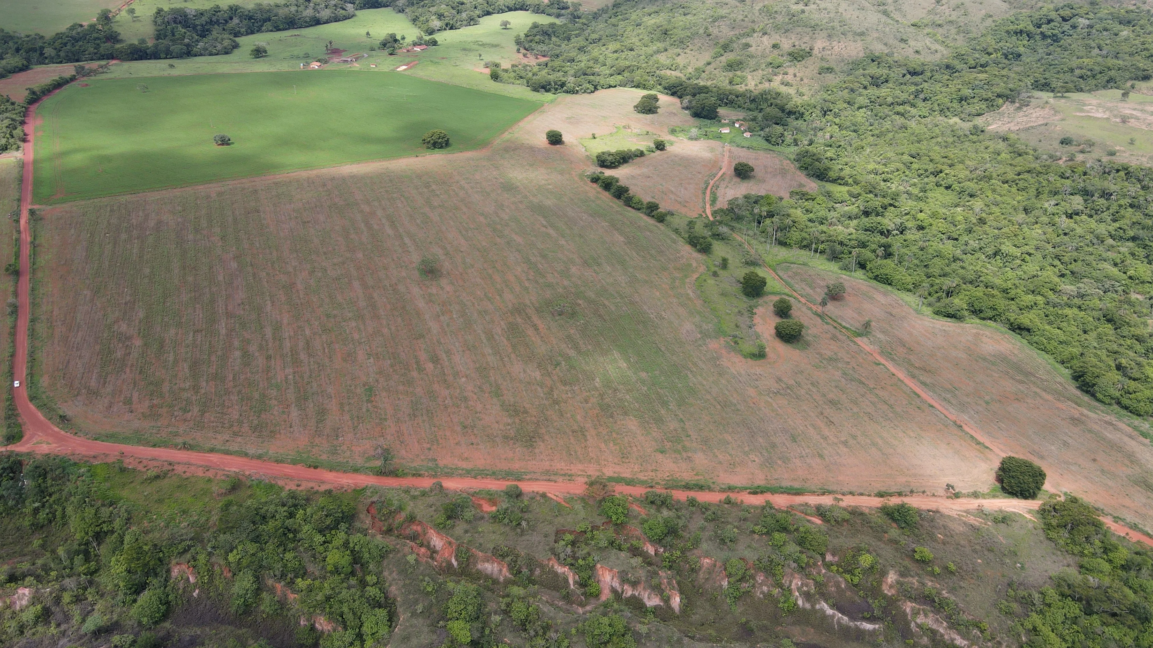 Fazenda Cultivada Na Zona Rural De Patrocínio/Mg