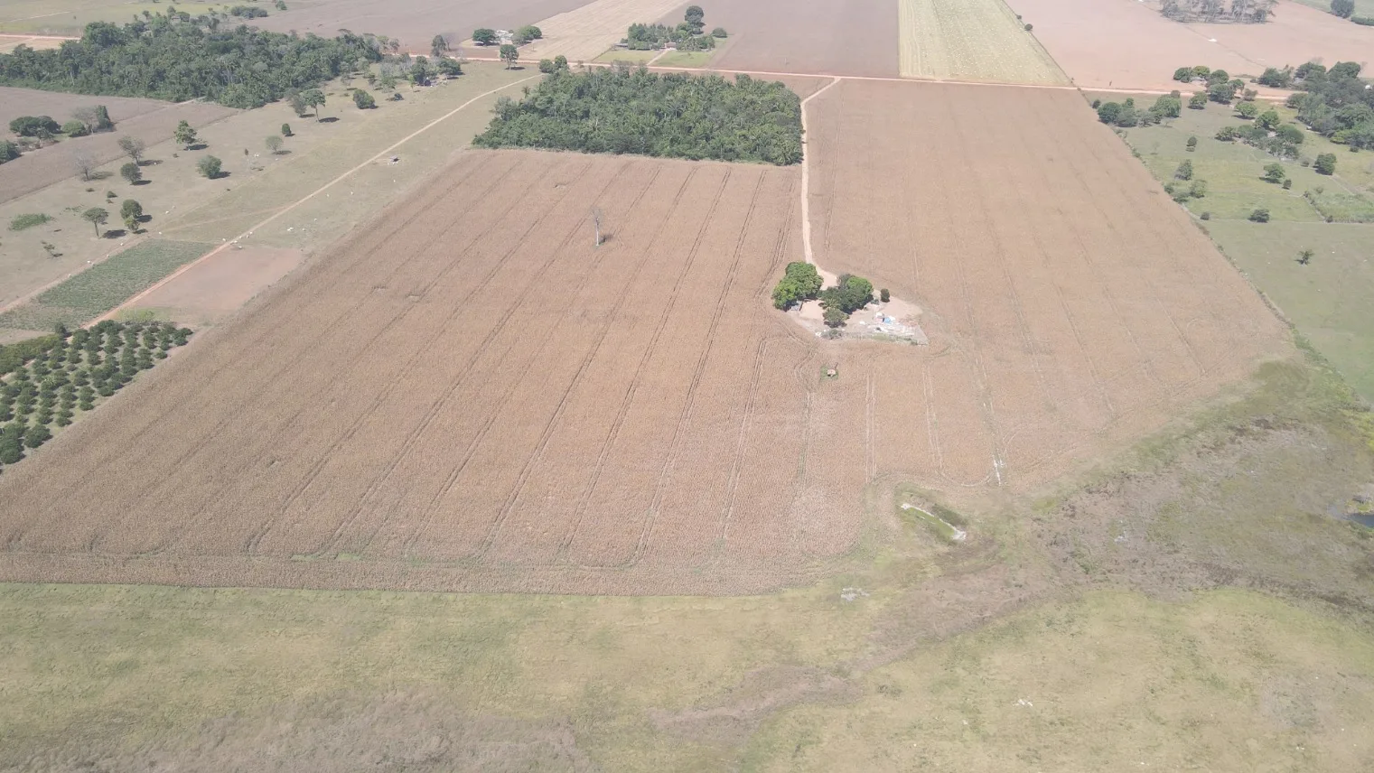 Fazenda Para Plantio No Estado De Rondonia