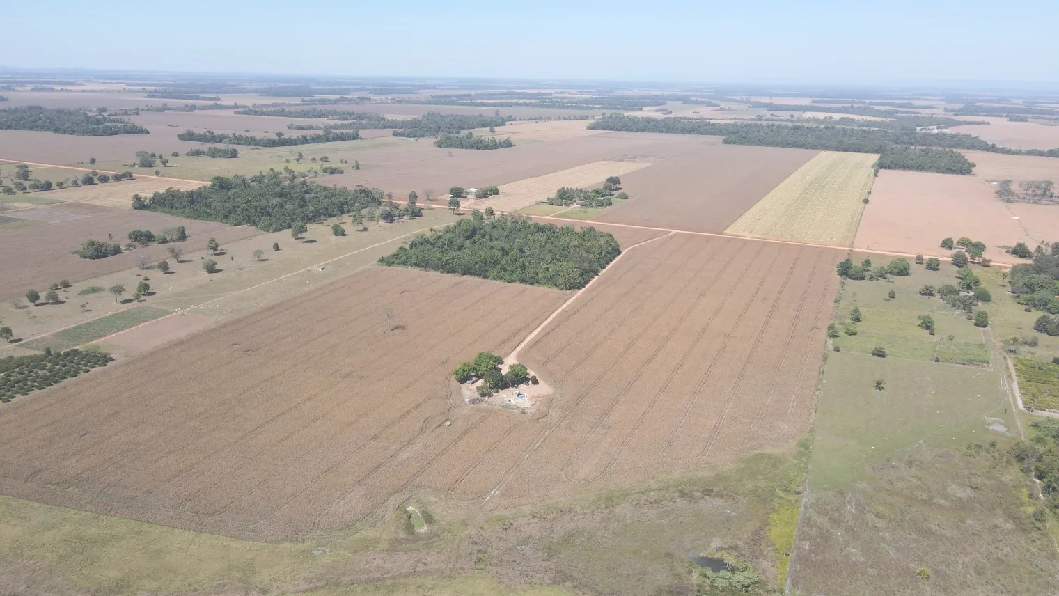 Fazenda Para Plantio No Estado De Rondonia