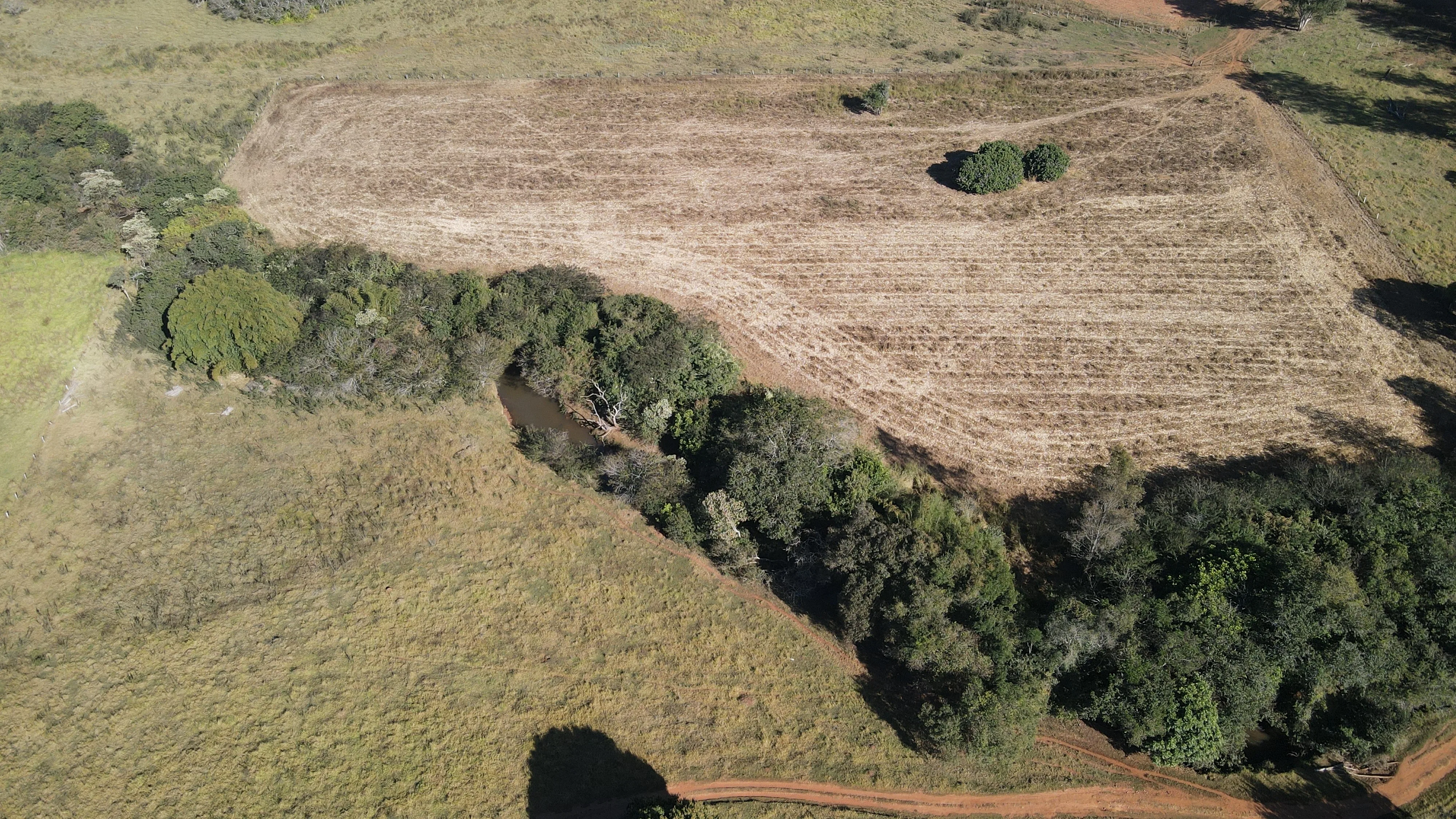Fazenda Para Plantio De Café Em Patrocínio/Mg