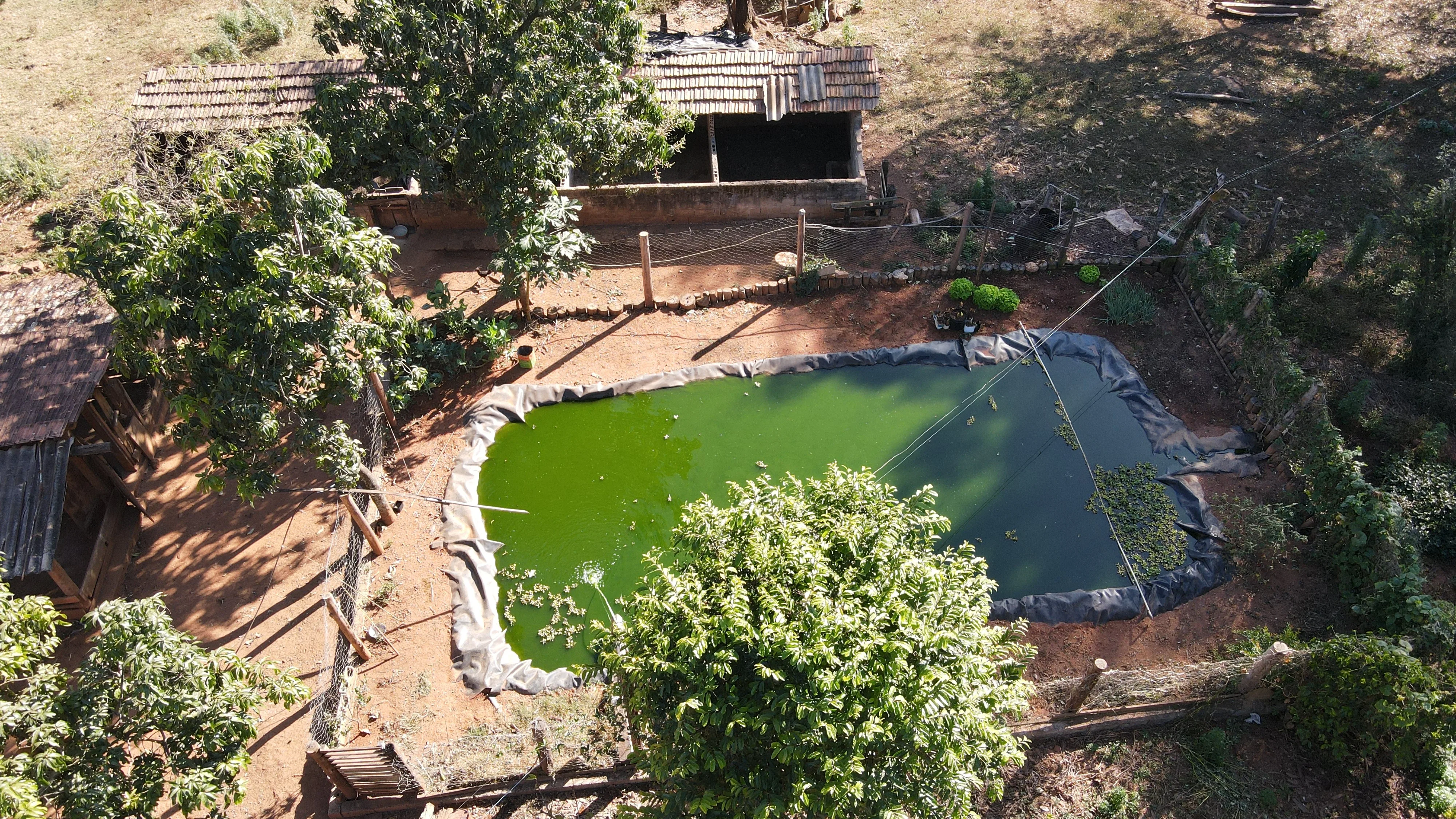 Fazenda Para Plantio De Café Em Patrocínio/Mg