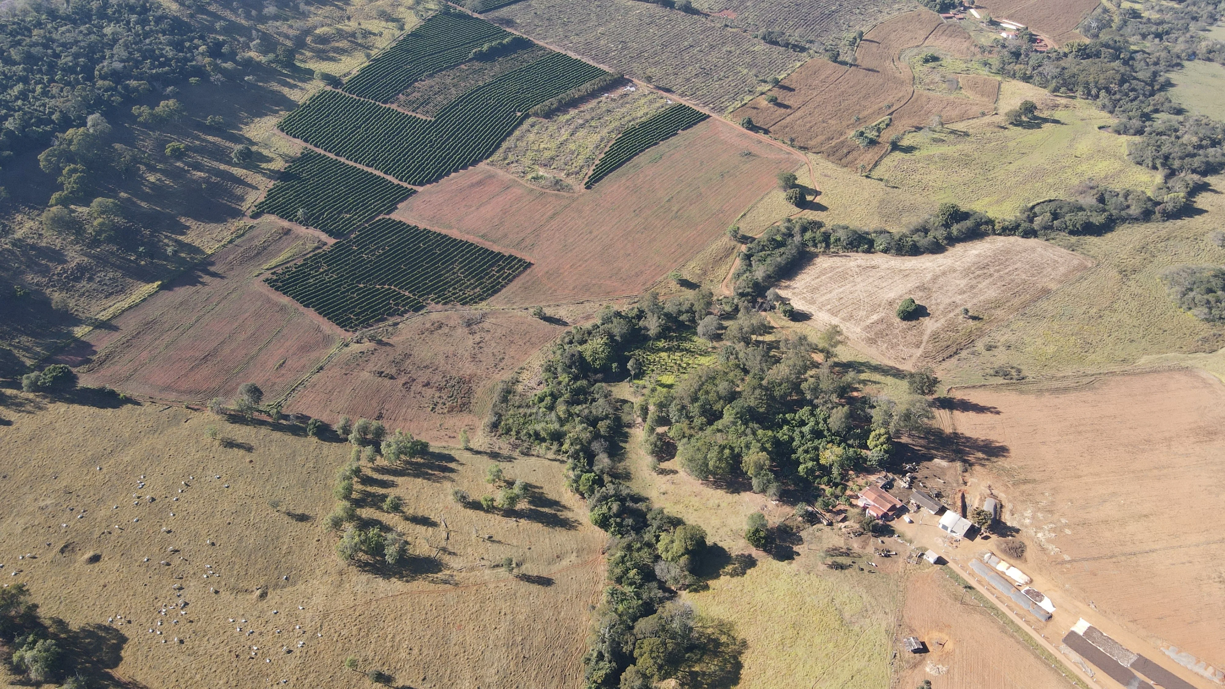 Fazenda Para Plantio De Café Em Patrocínio/Mg