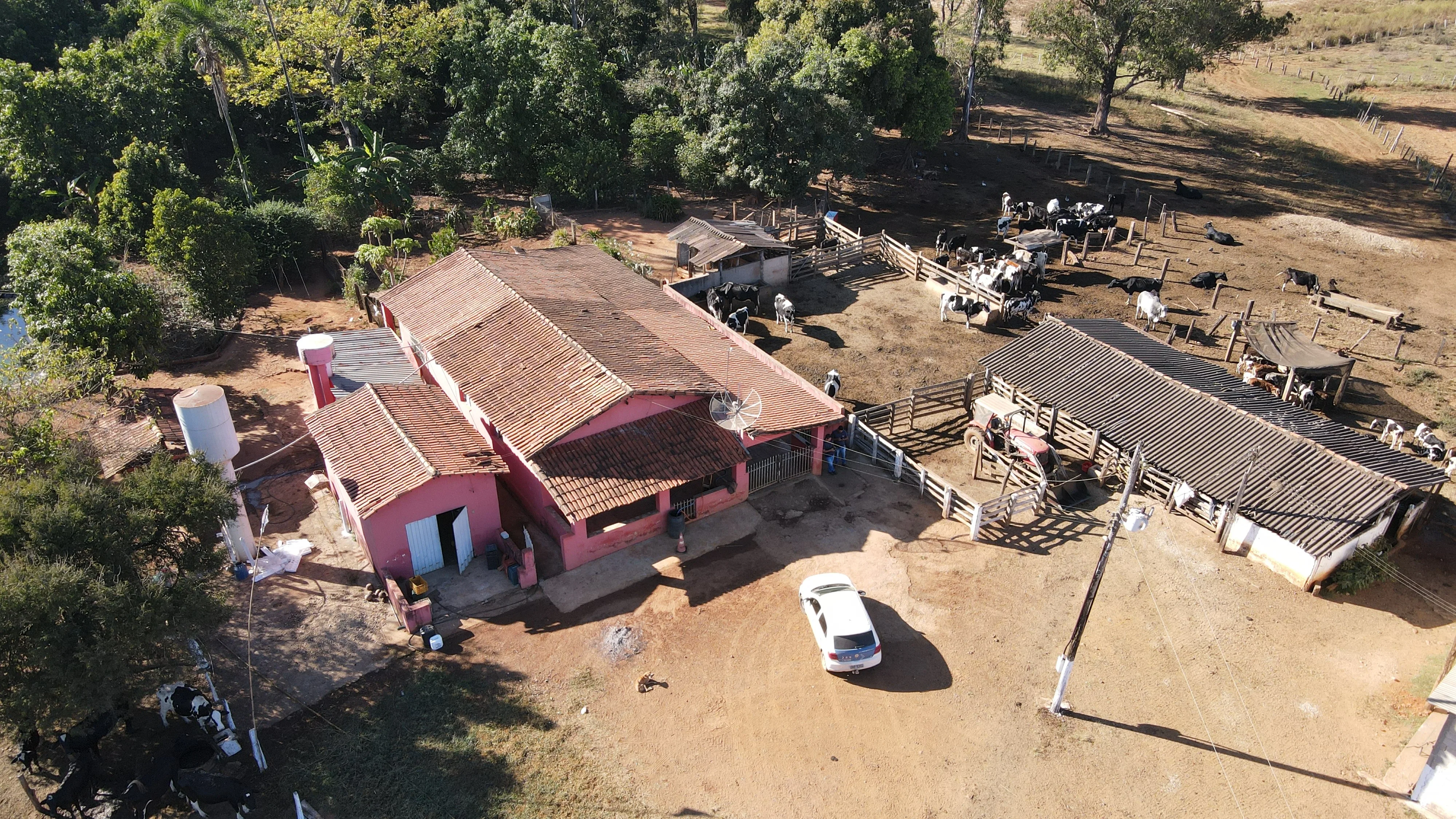Fazenda Para Plantio De Café Em Patrocínio/Mg