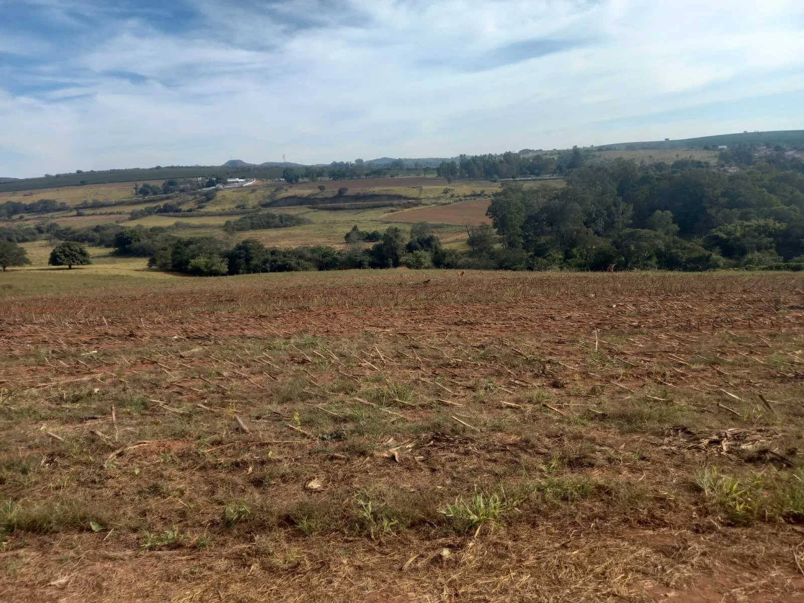 Fazenda Para Plantio De Café Em Patrocínio/Mg
