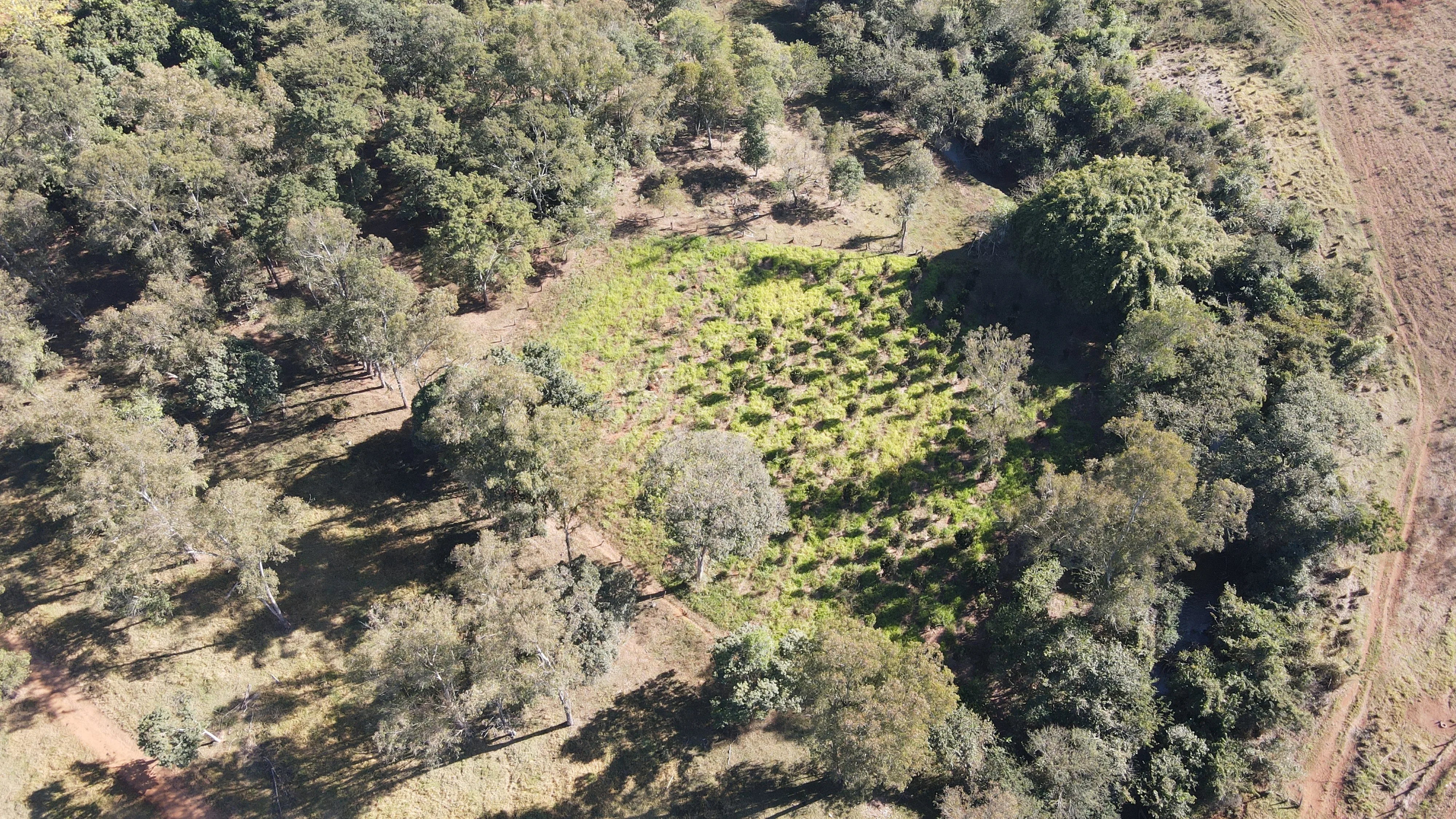 Fazenda Para Plantio De Café Em Patrocínio/Mg
