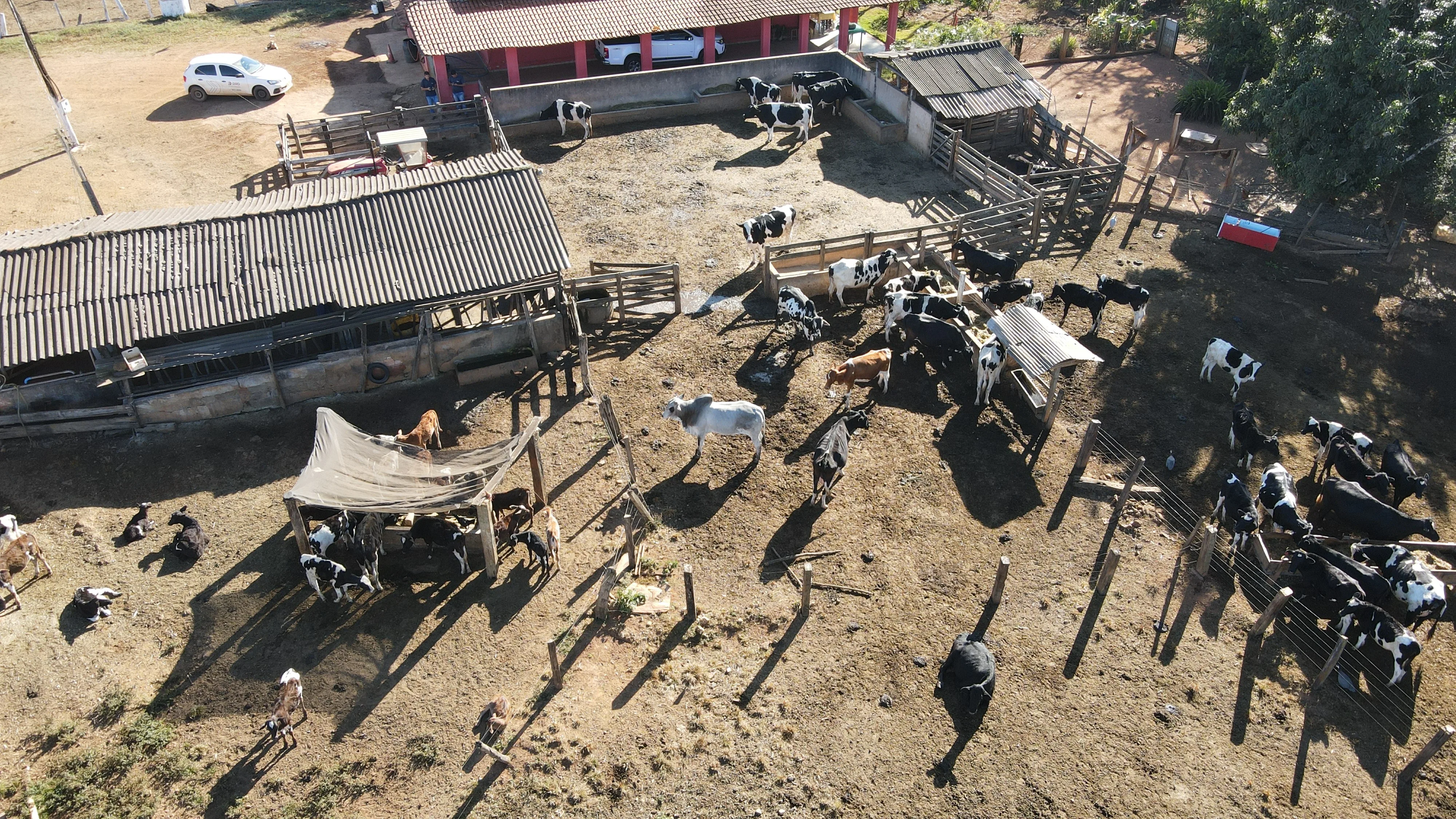 Fazenda Para Plantio De Café Em Patrocínio/Mg