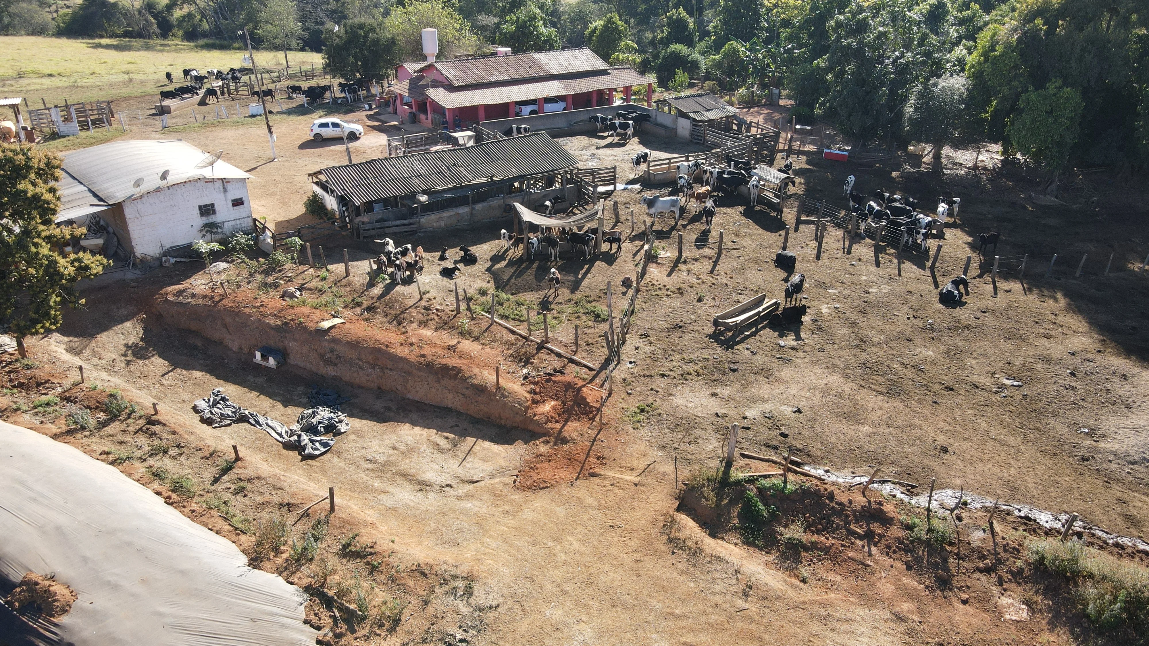 Fazenda Para Plantio De Café Em Patrocínio/Mg