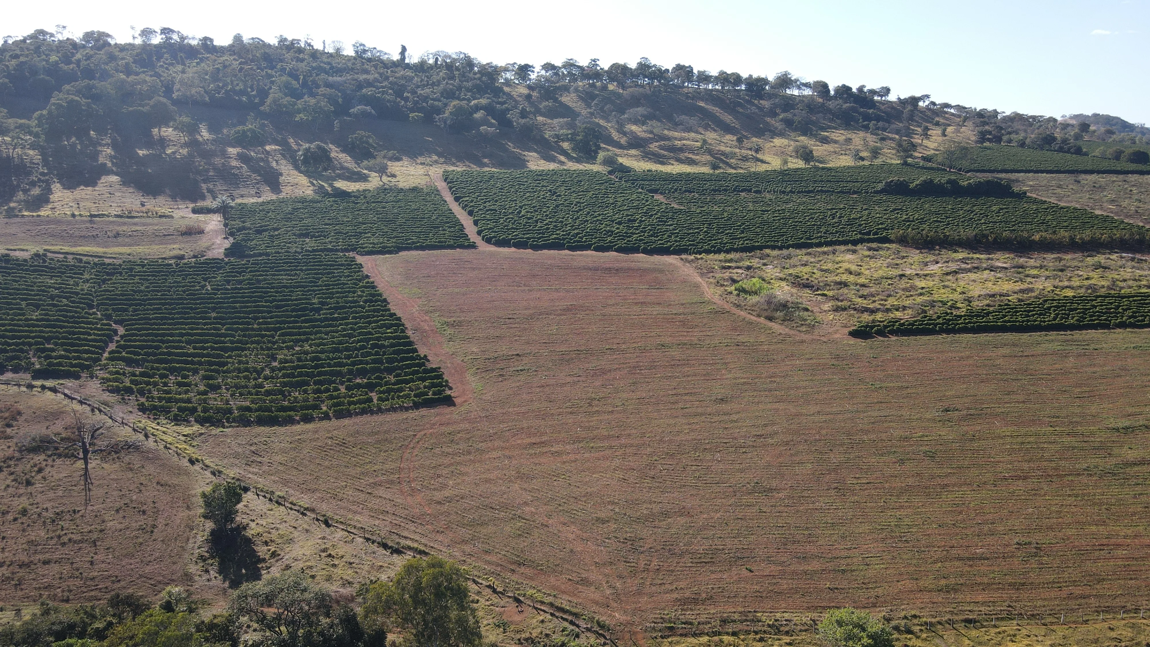 Fazenda Para Plantio De Café Em Patrocínio/Mg