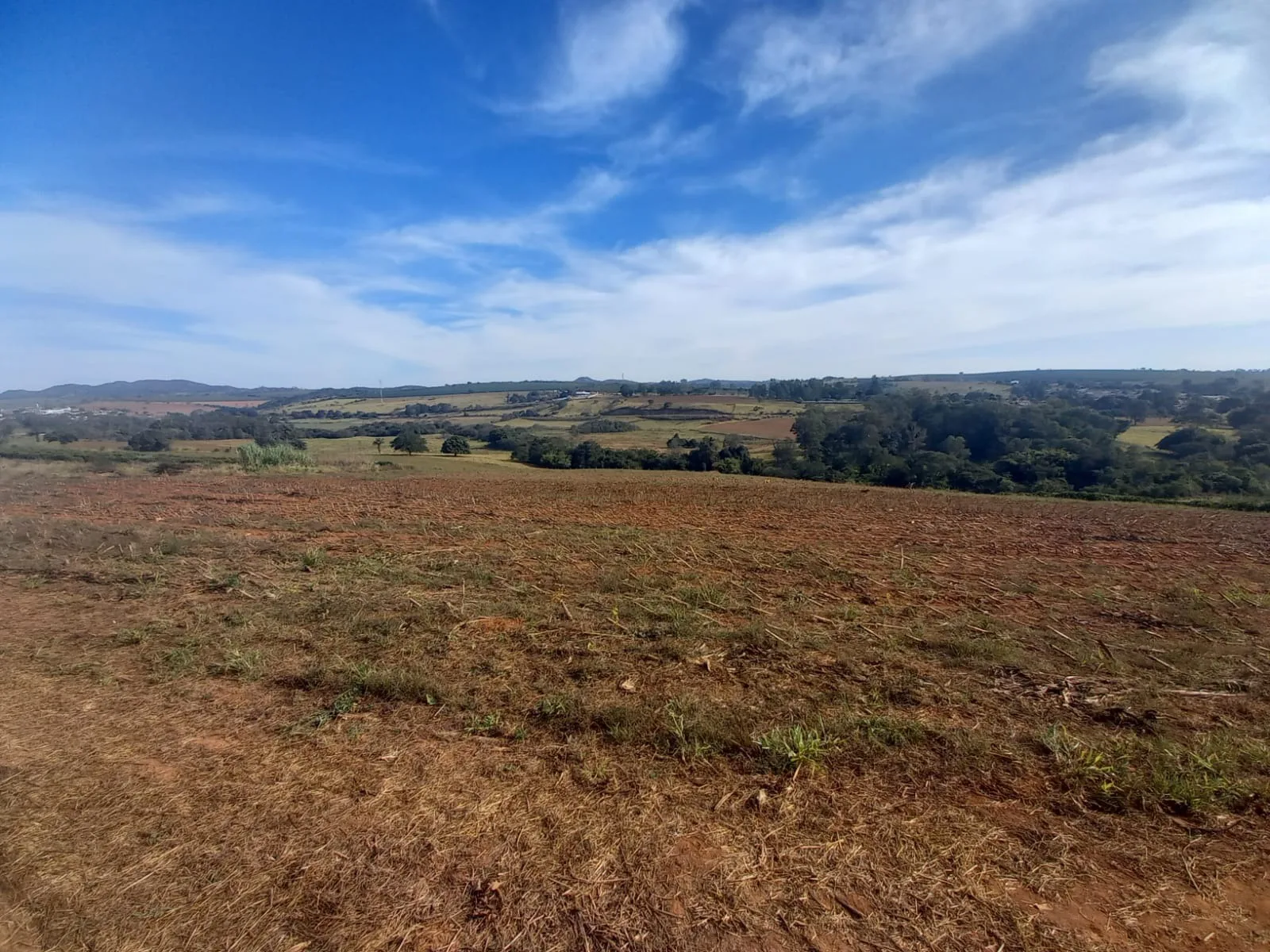 Fazenda Para Plantio De Café Em Patrocínio/Mg
