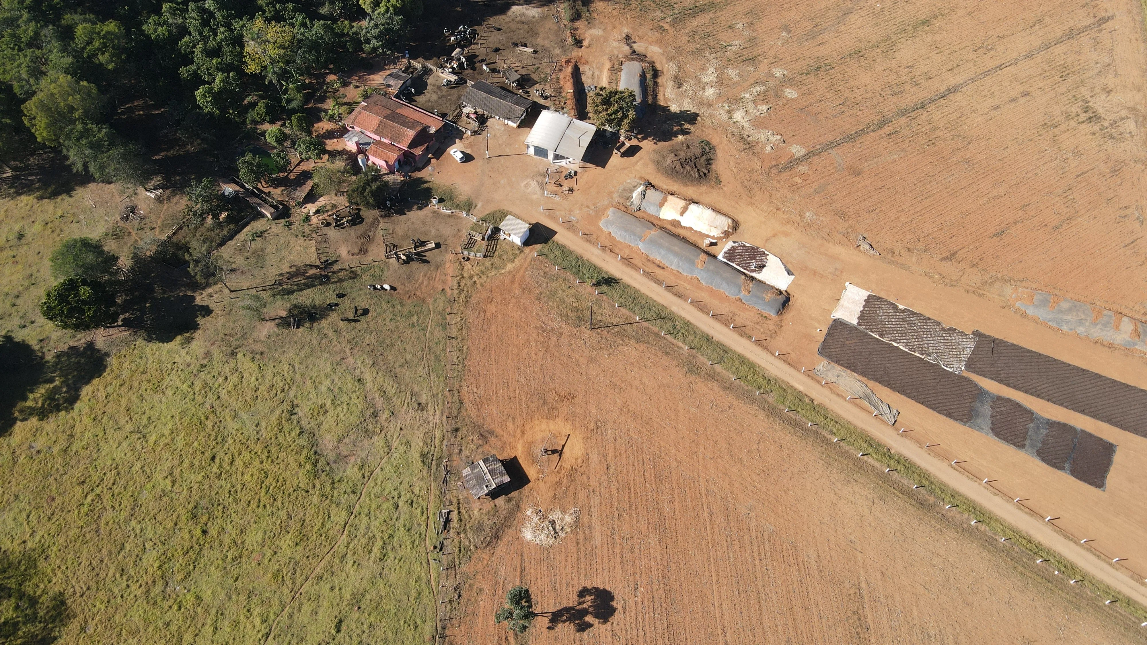 Fazenda Para Plantio De Café Em Patrocínio/Mg