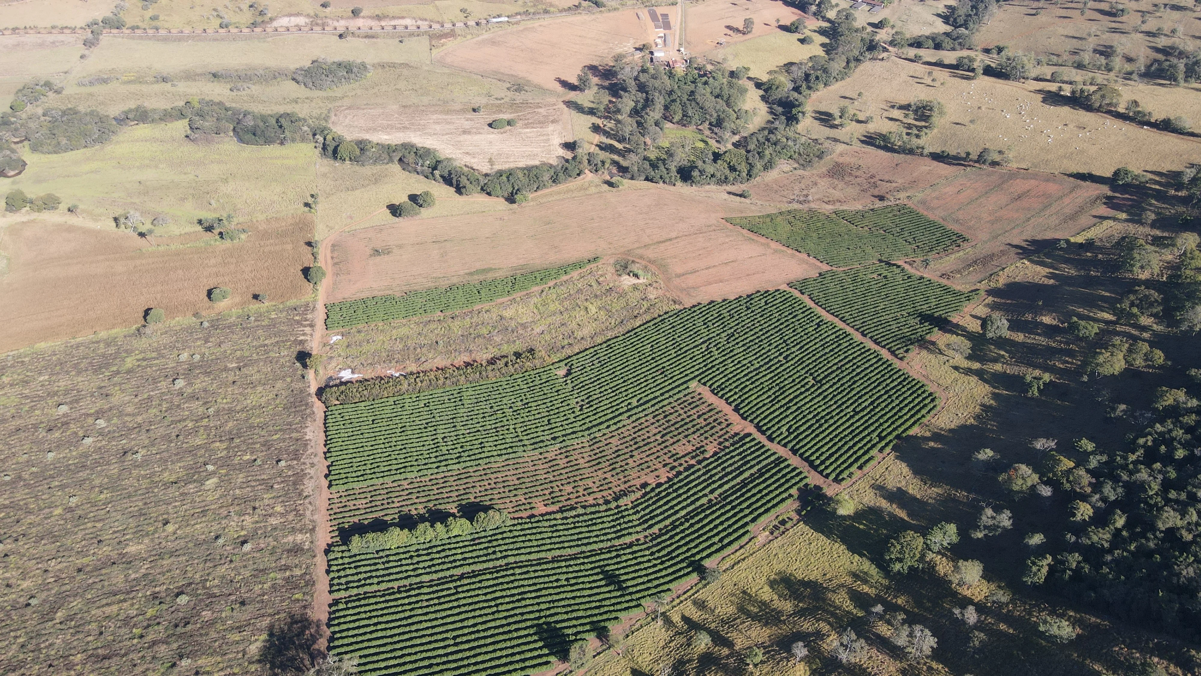 Fazenda Para Plantio De Café Em Patrocínio/Mg