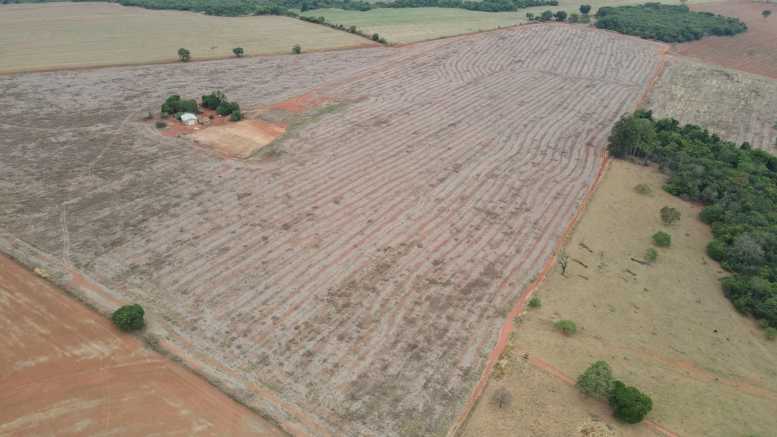 Fazenda Própria Para Café Em Coromandel