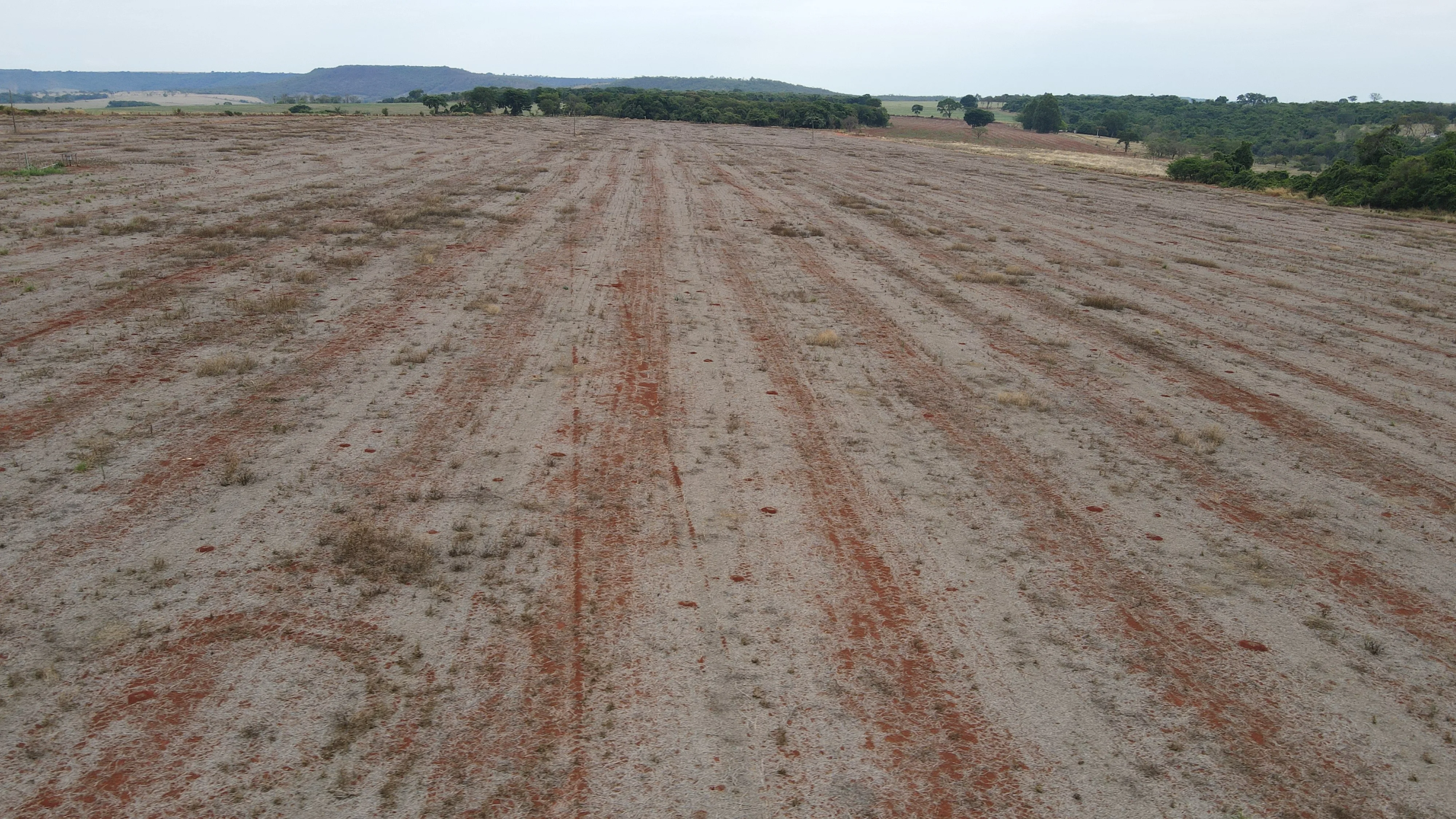 Fazenda Própria Para Café Em Coromandel