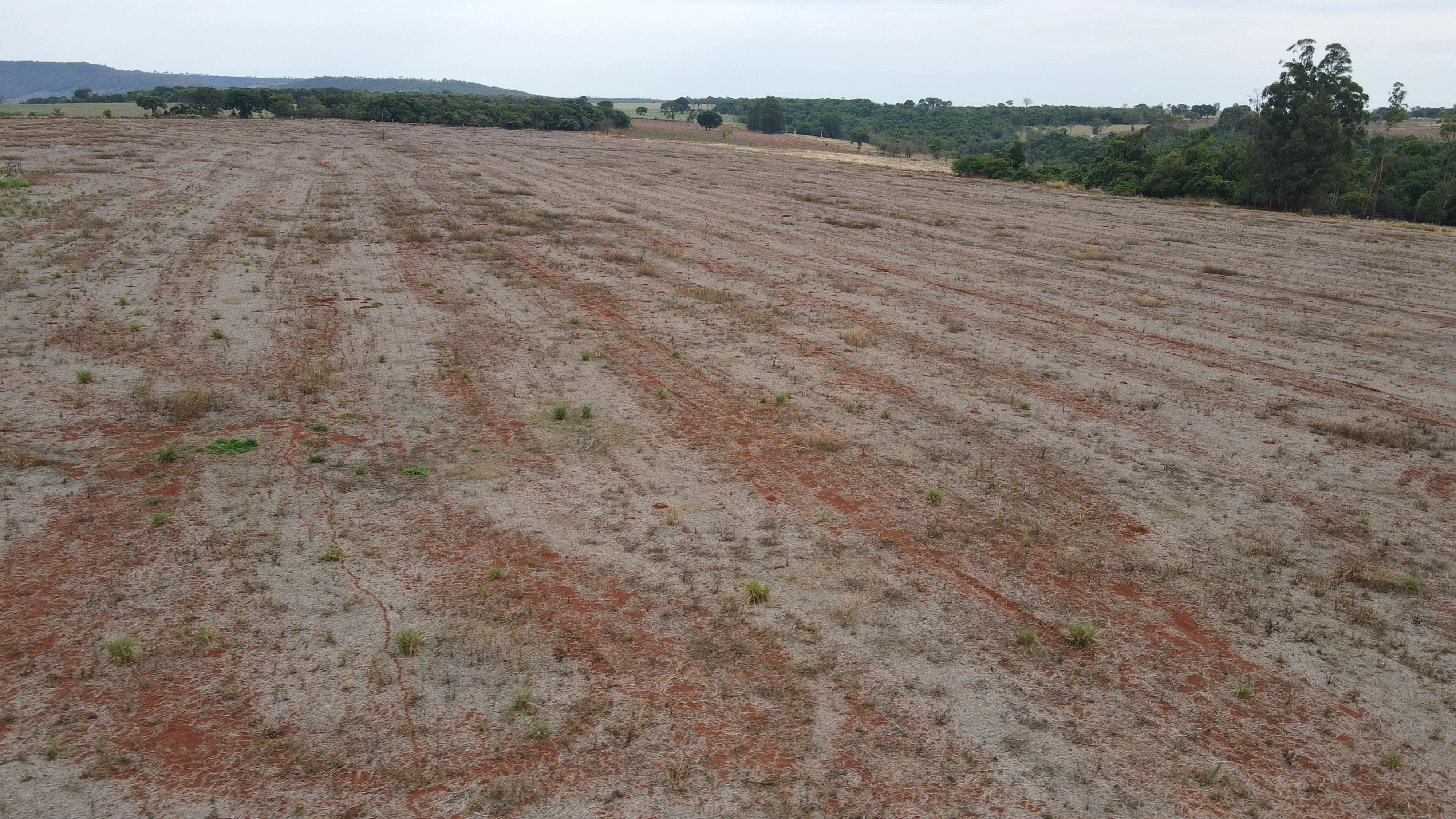 Fazenda Própria Para Café Em Coromandel