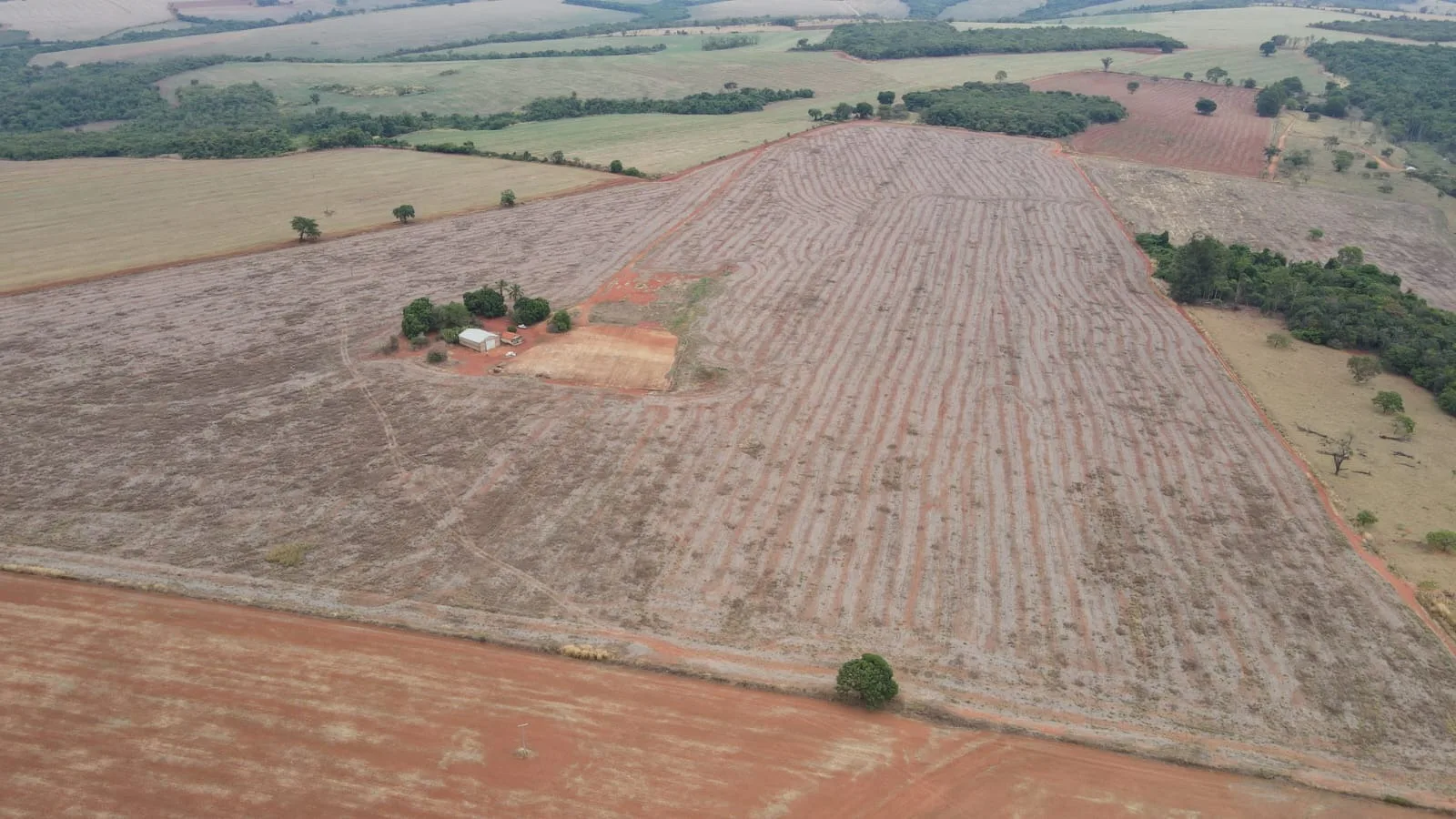 Fazenda Própria Para Café Em Coromandel